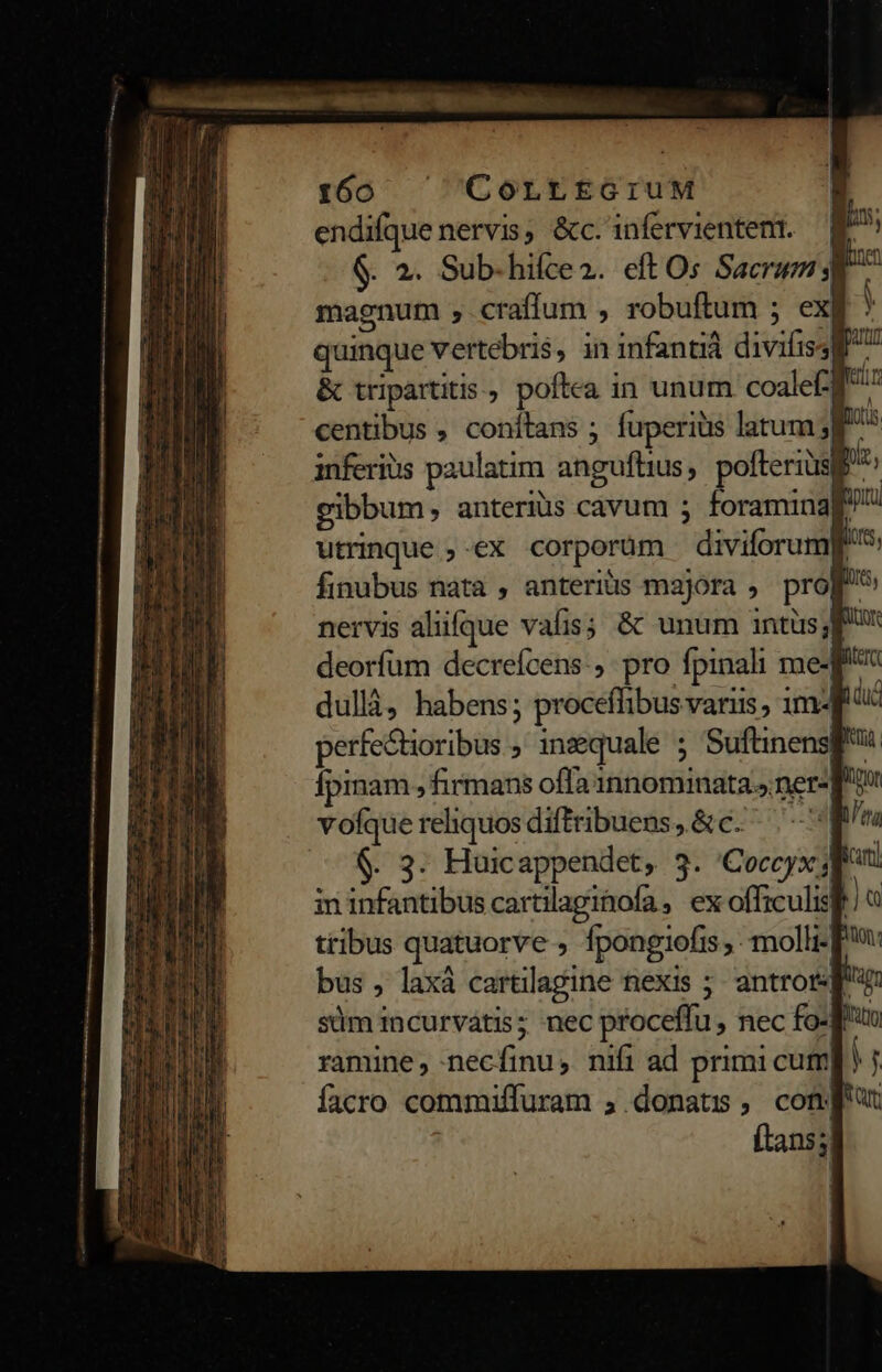 r60 ^ CoLtEGIUM endifque nervis, &amp;c.infervientent. E $. 2. Sub-hifce2. eft Os Sacrum magnum , craffum , robuftum ; exg ? quinque vertebris, in infanti divifissg &amp; tripartitis, poftea in unum coalef d centibus , conítans ; fuperiüs latum; inferis paulatim angufhius, pofterius gibbum, anteriüs cavum 5 foramina utrinque ;.ex corporum diviforumg finubus nata , anterius majora , prog nervis aliifque vafis; &amp; unum intüs; deorfum decreícens:, pro fpinali me-f dullà, habens; procefflibus varus , 1m- perfe&amp;oribus , inzquale ; Suftinensf' Ípinam , firmans offainnominata.» ner- f? vofque reliquos difftibuens, &amp;c.- ^q $. 3. Huicappendet, 3. 'Coccyx d^ in infantibus cartilagitofa, ex officulisl tribus quatuorve , fpongiofis ,. molli- bus , laxá cartilagine nexis ;- antror-f süm incurvátis; nec proceffu , nec fo-q': ramine, necfinu, nifi ad primi cum] ) facro commiffuram , donatis ,. conf (tans;