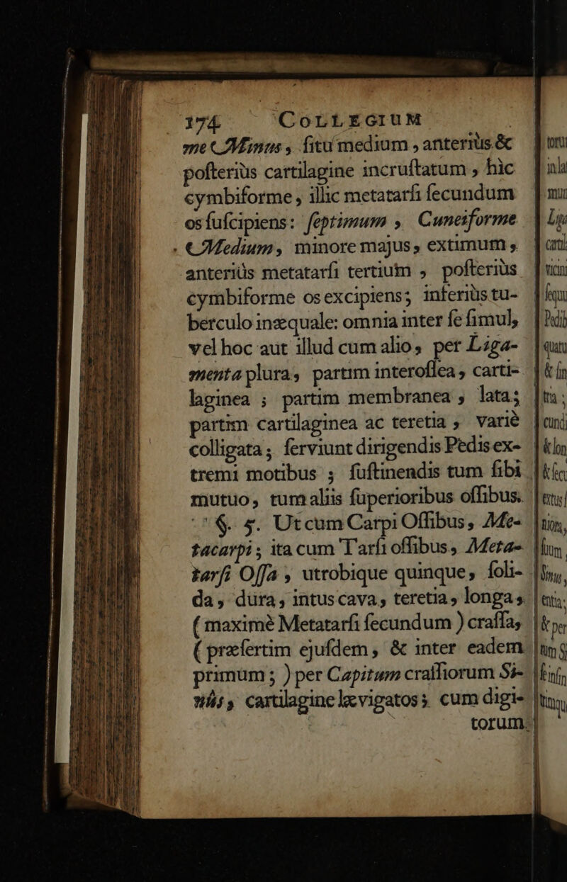 124 CorLEGIUM : me CAMinus , fitu/medium , antermis.&amp; pofterius cartilagine incruftatum , hic cymbiforme , illic metatarfi fecundum osfufcipiens: feptimum » Cuneiforme . CMedium, minore majus, extimum , anteriüs metatarfi tertium , pofterius cymbiforme osexcipiens; inferius tu- berculo inzquale: om nia inter fe fimul, velhoc aut illud cum alio, pet Liga- menta plura, partim interoflea , carti- laginea ; partim membranea , lata; n partim cartilaginea ac teretia — Varie | colligata ; ferviunt dirigendis Pedisex- | tremi motibus 5 fuftinendis tum fibi | mutuo, tum aliis fuperioribus offibus. | .*$&amp;. s. Utcum Carpi Offibus, 7de- |i tacarpi ; ita cum T'arfi offibus, Metas. | tar[i Offa , utrobique quinque, foli- |j da, düra, intuscava, teretia, longas |« ( maxime Metatarfi fecundum ) craffas |i ( praefertim ejufdem, &amp; inter eadem | primum ; ) per Capitum craifiorum Si- |k. 4, carilaginelevigatoss cum digi- lr torum-