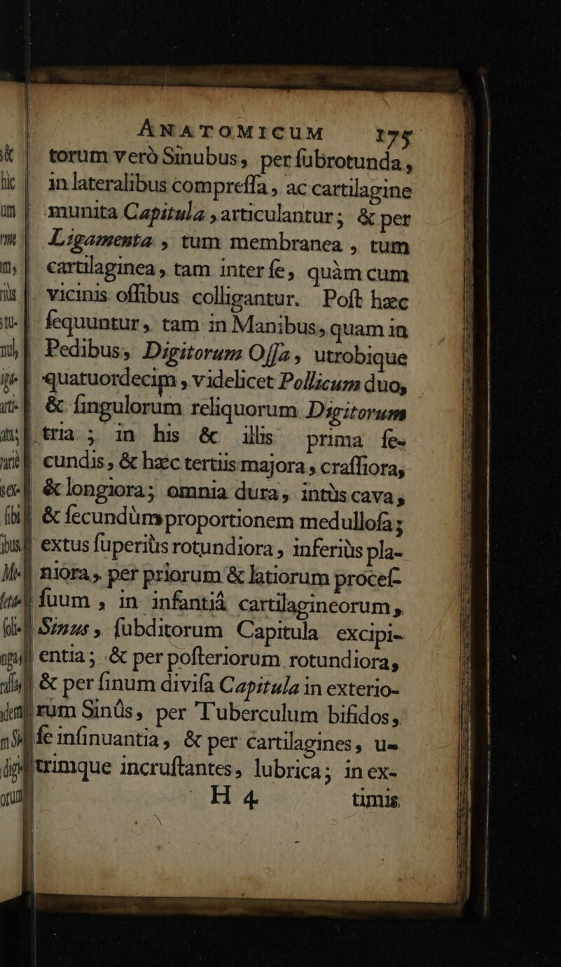 torum veró Sinubus, per fübrotunda, in lateralibus com preffa , ac cartilagine munita Capitula ,articulantur; &amp; per Ligamenta , tum membranea , tum cartilaginea , tam inter fe, quàm cum . vicinis offibus colligantur. Poft hec -|- fequuntur, tam in Manibus, quam in | Pedibus, Digitorum Offa, utrobique i | quatuordecim , videlicet PoZicuzm duo, i| &amp; fingulorum reliquorum Digitorum nib tria ; in his 6 illis prima fe. «£f cundis, &amp; haec tertiis majora , craffiora, if élongiora; omnia dura, intüscava $ (bil &amp; fecundümproportionem medullofa; buf extus fuperilis rotundiora , inferiüis pla- Mc] niora, per priorum &amp; latiorum procet- (4 fuum , in- infantiá cartilagineorum (ll S225, fübditorum Capitula excipi- ' entia; .&amp; per pofteriorum rotundiora, | &amp; per finum divifa Capitula in exterio- 'rüm Sinüs, per T'uberculum bifidos, fe infinuantia , &amp; per cartilagmes, u- jgftrimque incruftantes, lubrica; in ex- qum H4 timus.