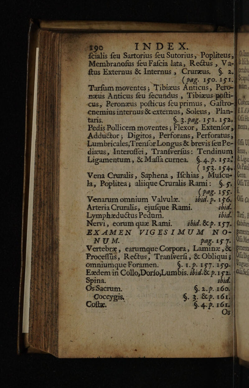 ftus Externus &amp; Internus , Crurzus. $. 2. 'Tarfum moventes; Tibizus Ánticus, Pero- nxus Anticus feu fecundus , Tibizus-gofti- Cus, Peronzus pofticus feu primus , Gaftro- €nemius internus &amp; externus, Soleus, Plan- taris. $. 3. pag. 151. (ds Pedis Pollicem moventes ; Flexor, Exteníor; Addu&amp;or; Digitos, Perforans, Perforatus; dizus, Interoffei, Traníveríus: Tendinum Venarum omnium Valvule.: — zbid.p. 146. Arteria Cruralis, ejufque Rami. ibi Lymphzductus Pedum. Nervi, eorum quz Rami. . Vertebrz , earumque Corpora, Laminz , &amp; Proceffüs, Rec&amp;us, Traniverfi, &amp; Obliquij omniumque Foramen. $. 1. 3 157.149. Spina. i OsSacrum. $. 2. p. 160. Coccygis, ..3. &amp; p. 1615 Coftx. | 3 $. 4. f. - 12 S: p (rio Vogue: als