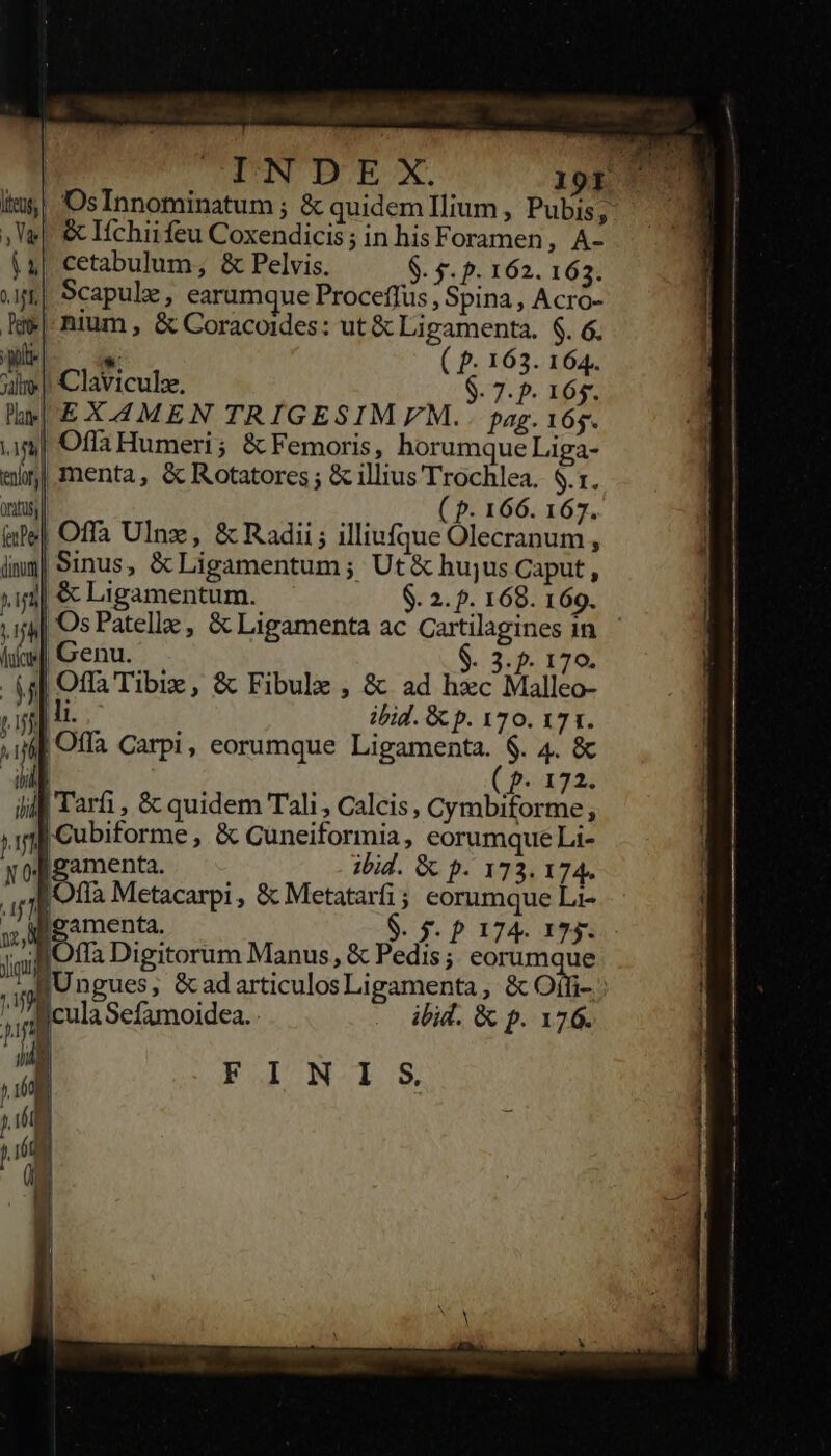 ius! OsInnominatum ; &amp; quidem Ilium , Pubis, : Ve] &amp; Ifchii feu Coxendicis ; in his Foramen , Ae (4| cetabulum, &amp; Pelvis. $. $. p. 162. 163. f| Scapule, earumque Proceffus , Spina, Acro- Ige| nium , &amp; Coracoides: ut &amp; Ligamenta. $. 6. * p. 163. 164. di | Claviculz. $. 7. p. 5 hwEXAMEN TRIGESIMEM.. pag. 165. im Offa Humeri; &amp; Femoris, horumque Liga- emn menta, &amp; Rotatores ; &amp; illius Trochlea. $.1. d ( p. 166. 167. &amp;le| Offa UInz, &amp; Radii ; illiufque Olecranum , imp| Sinus, &amp; Ligamentum ; Ut&amp; hujus Caput , ;ii| &amp; Ligamentum. $. 2. p. 168. 169. ;ijj| Os Patellz, &amp; Ligamenta ac Cartilagines in. tice] Genu. . ; . 3. p. 170. (s Offa Tibiz, &amp; Fibule , &amp; ad hxc Malleo- 37: |l. 1 ibid. &amp; p. 170. 17 t. iil Offa Carpi, eorumque Ligamenta. $. 4. &amp; di] ( P. 172. ii Tarfi ; &amp; quidem Tali, Calcis, Cymbiforme, ji Cubiforme, &amp; Cuneiformia, eorumqueLi- yofigamenta. ibid. &amp; p. 173. 174. là Metacarpi, &amp; Metatarfi; eorumque Li- »; Agamenta. S. $. P 174. 173. jm fla Digitorum Manus, &amp; Pedis ; Qa. jUngues, &amp;adarticulosLigamenta, &amp; Offi- icula Scfamoidea.. ibid. &amp; p. 176. n FITISs  h