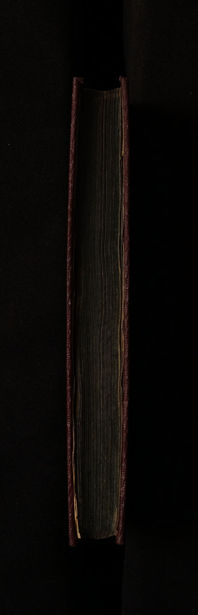 No text description is available for this image