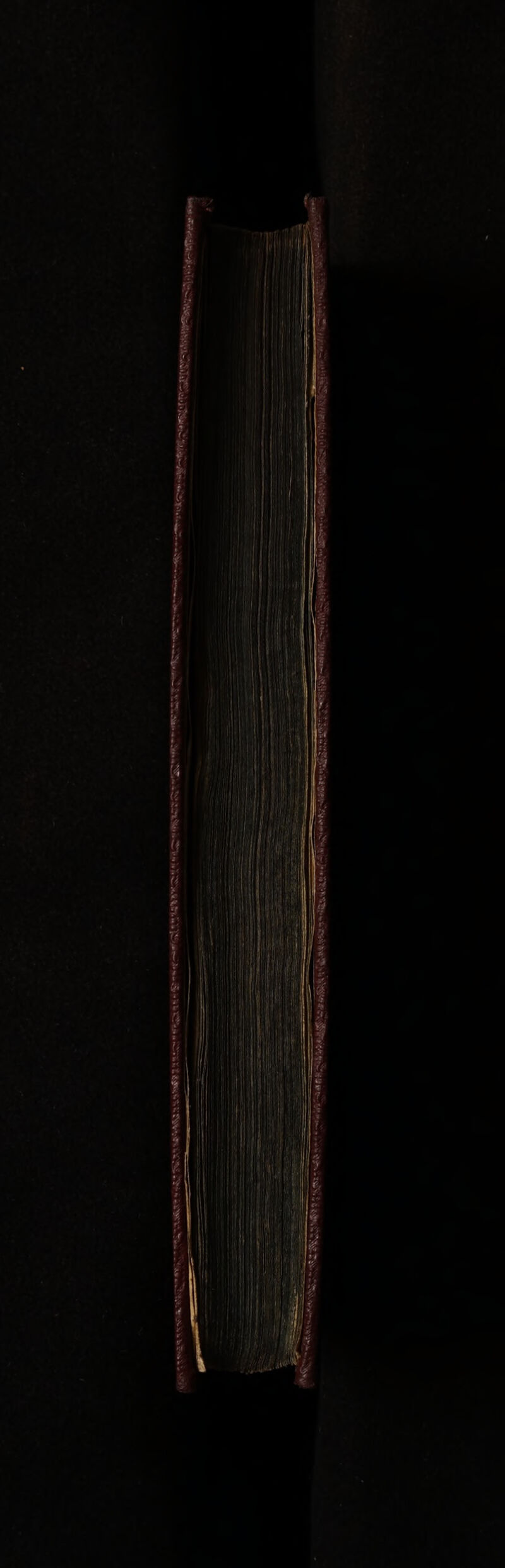 No text description is available for this image