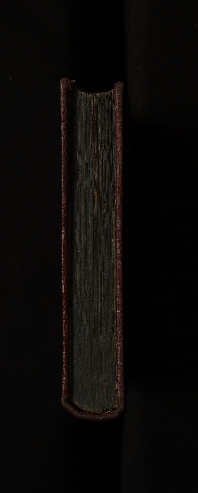 No text description is available for this image