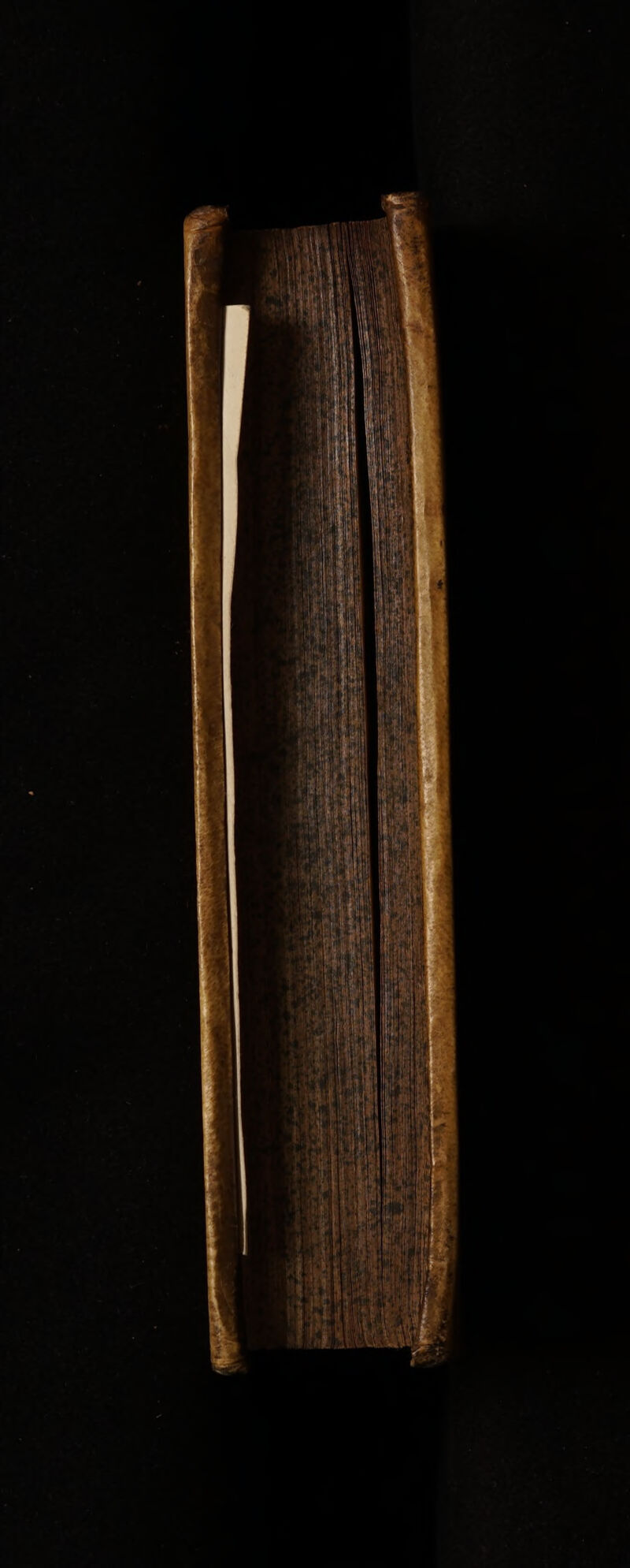 No text description is available for this image