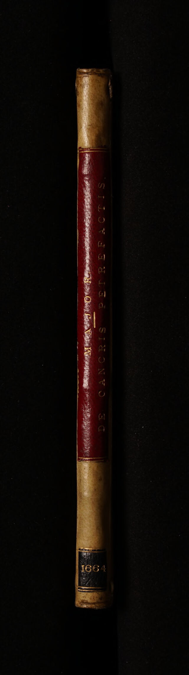 No text description is available for this image