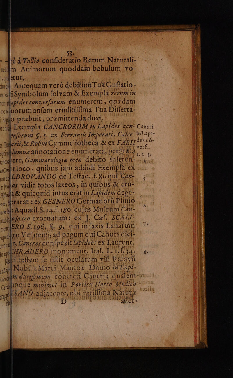 Áx 59. 7e CI SO sci opas DUUE TT CCEPIT NON . anco MO BMMEUR 1 Pudor LN N 3 RT E COPA ——— ALLE e PEL | ie a Tullio con(ideratio Rerum Naturali- ilm Animorum quoddam babulum vo- aec E ^ A: 5 a— -— REA | Antequam veró debitumT uz Guftatio- i5liSymbolum folvam &amp; Exempla rerum in vo iapides converfarum enumerem , qua 'dam : Exempla CANCRORUM :n Lapidés cn Cancri erforum $.5. ex Ferrantis Imperati , Calce. d apl- ; Tilerz &amp; Rofini Cy ymmeliotheca &amp; ex FABII PM ul domne annotatione enumerata, pérgt&amp;ta , M da aol iérc, Gammarologte mee debito inferen- .. ,orjtloco » quibus jam addidi Exempla ex ma DROPFANDO de Teftac. £. gi. qui Caz- Qu: vidit totos faxeos , in quibus. X cra- lli zr &amp; quicquid intus erat in Lapidém dege- llrarat :ex GESNERO Germanoru Plinjo lr Aquatil.S. 14.f. 150. cujus Mufeüm Caz- tuefaxeo exornatum: ex [. Caf, SCALI- IERO 5.196, &amp;. 9. qui in faxis Lanafum llro. V efatenfi; ad pagum qui Caliots dici- adr» Cancreos con(pexit dapideos ex Laurent. [HR ADERO inonumepnt. Ital. L. t. Vind [i teftem fe Gftit oculatum vifi Parávii INobilisMarci Mantue Domo zz Lapi- ym dvifZ7mum concreti Canctis doglem-u loque mibimet in. Portiu Horto Meaico [$4NO adjacente, nbi tai rillima Natuts | | D zi i Pow Aqu rS P AITOT -. Ca £ — MÀ - EMNEDCS nina