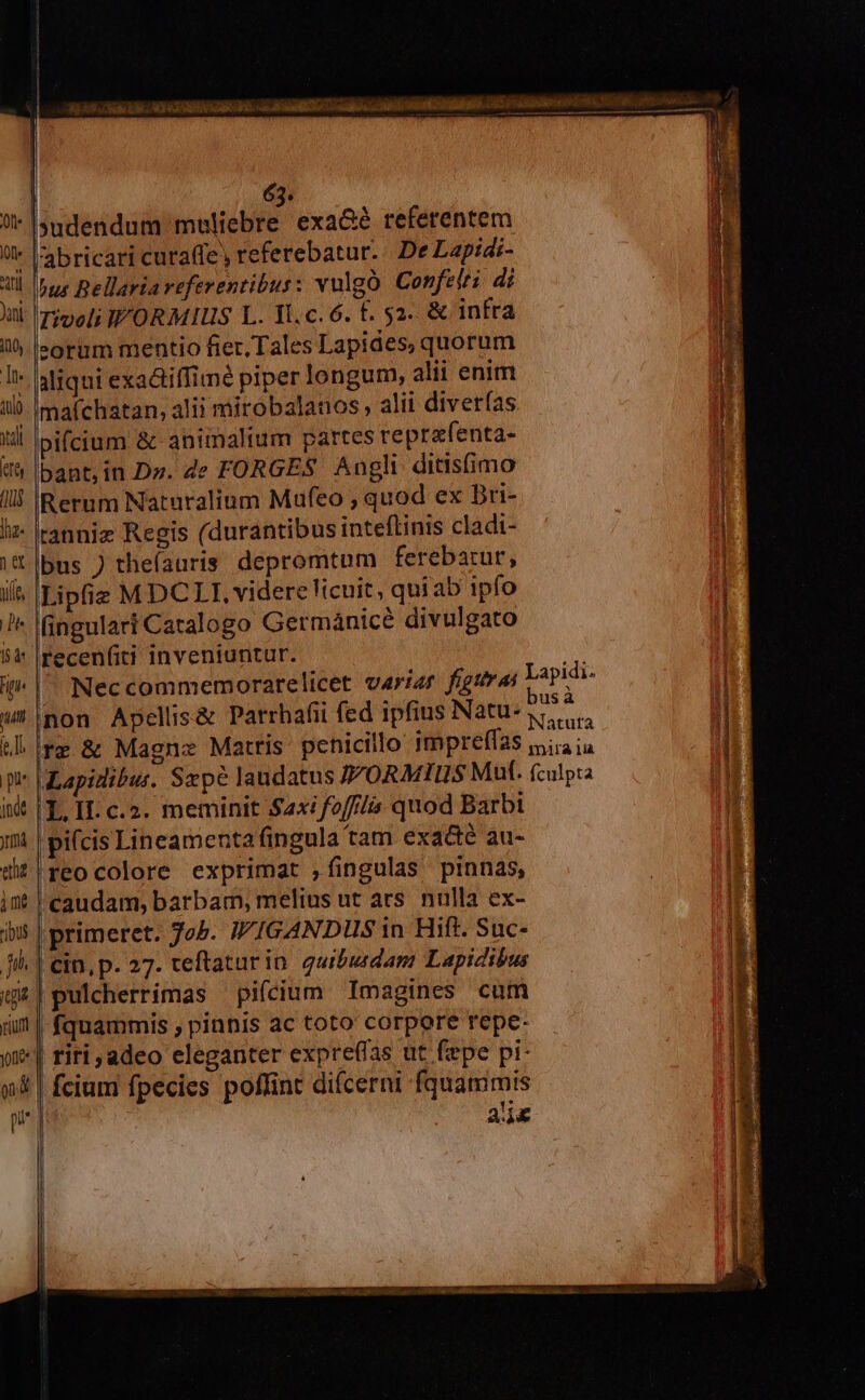 'abricari cutaffe referebatur.. De Lapidi- ^us Bellaria referentibus: vulgo. Confelti di Tiveli .WORMIUS L. Il. c. 6. f. 52. &amp; infra eorum mentio fiet, Tales Lapides, quorum maíchatan, alii mirobalanos ; alii diverías pifcium &amp; animalium partes reprafenta- bant,in Dz. de FORGES Angli ditisfimo Rerum Naturalium Mufeo , quod ex Bri- ranniz Regis (durantibus inteflinis cladt- Lipfiz MDCLI, videre licuit, quiab ipfo LII. c.2. meminit Saxi foff//ás quod Barbi pifcis Lineamenta fingula tam exa&amp;é au- cin, p. 27. teftaturia. guibiadam Lapidibus pulcherrimas pifcium Imagines cum fquammis , pinnis ac toto corpore repe- riri adeo eleganter expreffas ut fepe pi- usa