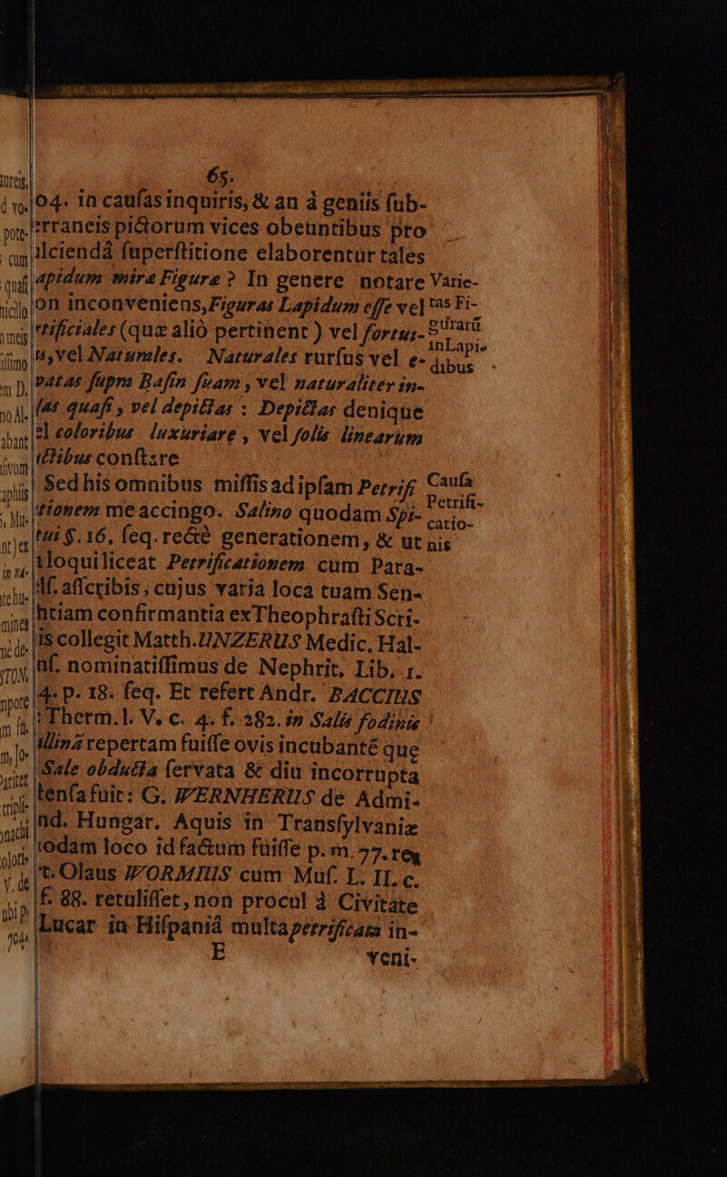 ires, d Yo. pote: | CUm | quí nicilo 1tmelg imo 65. | 04. in caufas inquiris, & an à geniis fub- *traneis piorum vices obeuntibus pro ilciendá fuperftitione elaborentur tales aptdum tira Figure ? In genere notare Varie- on inconveniens,iguras Lapidum effe vel uris ifictales (quz alió pertinent ) vel forzu;- iso uyvel Narundes. — Narurales rurfus vel e- iiis patas fupra Bafin fuam , vel naturaliter in- tl coloribus. luxuriare , vel folis linearum itHibus conftzre | Sed his omnibus miffisad ipfam Petrifi ecd catio- tti $.16, feq. re&& generationem, & ut js nf. nominatiffimus de Nephrit, Lib, r. 4- p- 18. feq. Et refert Andr. 2A4CCIES lina repertam fuiffe ovis incubanté que Sale obducfa lervata & diu incorrupta t. Olaus //ORMIUS cum Muf. IL. 1I. c. f. 88. retuliffet, non procul à Civitate Lucar in Hifpanià multaperrifizar in- | | E Yeni-