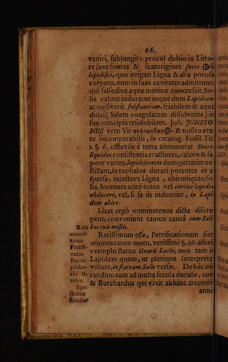 66. j| veniri, fübjungitz procul dubio in Litto«| atis refuntfontes &amp; Ícaturigines fucci (Dlii titei Lapidifici, quo itrigati Ligna &amp; alia porofa| tiii; corpora, eum in fuas cavitates admittunn mui qui falíedine aque marinz concrefcit,So«| $i ' lis. caloreinduratur usque dum ZapiZeass| bm acquifiverit /s/ffantiam, friabilem &amp; aqua] wu: dulci( Salem coagulatum diffolvente ) in| uj fua ptincipia re(olubilem. Joh. 70N$70-| mun NUS vero Vir gzeAvuotas(O- &amp; nofira zta-| l«fu te incomparabilis , in catalog. Foffil Tit| pois I. S. 6. effluvits e terra annumerat | Sueco. nif liquidos confiftentia craffiores, calore &amp; fa] L1AY. pore varios,Japrdéfcenres dum guttatim ex-|. Ina fiillan5intophalos durari potentes in a| fpería, inje&amp;ave Ligna , chirothecas;fo-|- Du; lia, homines adeó totos vel corrice lapideq ebducere, vcl, fi (e iis induerint , zp. Lapé Quin dem abire. Licet ergó HaHNR ete mit dida difcre| pi pent conveniunt tamen causá eum $4li| Rara bus tuis zuiflis. Dict momé- Rariffimum effe, Petrificationem fier. 2. momentaneo motu, veriffimé $.26.afferi|. Mh etrifi- : , li cio, €Xemplo ftatua Uxeris Lotbi, non. tam it Exem- Lapidem quam;ut plerique Interprete: des ploLo- volünt,» f/atuam Salis verfe..«. Dehácmt  thi U- raridum eam ad multa fecula durafle , cun] uj. 7o» &amp; Burchardus qui vixit abhinc trecentiloi. . Ejus ftatuz anni,