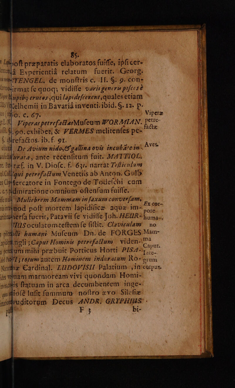 Lum $s. loft praeparatis elaboratos fuiffe, ipficer- wW44 Expérientià relatum — fuerit. Georg, VFENGEL, de monftris c. 11. $. 9. con. irmat fe quoq; vidille varie generis ptfcesé (t npibo erutos qui lapidefcexent quales etiana li Wtelhemii in Bavariá inventi. ibid. S. 12. p- o. e. 67. Vipera W | FiperarpetrefaclasMufeum //OR MIAN. praie- ill. 4/06. exhibet; &amp; FERMES mclitenfes pe- ^^^ y Mrefa&amp;tos. 1b.f. or. A Devium nido,6f gallina ovis incubate in. aka r274, ante recenficum fuit MATTIOL. Aves fcm €Muliebrem Mamma in f[axusa conver(ant, iüod poft mortem lapidicz aque im- dir a viiYerfa fueric, Patavii fe viditfe Joh. HEUR* ama, TIUS oculatumzteftem fe fiftit. Clavieulatm — no lbi: humani: Mufeum. Dn. de FORGES Man- qiitil.neli ; Caput Hominis perrefatium | viden- E : ; eum mihi prebuit Porticus Horti PISA4- E d IT S tozum autem Hominem induratum KO- ovam Nufie Cardinal. LUDOFISII Palatium, incarpus. ides uem marmoream vivi quondam Homi- is ftatuam in arca decumabentem. inge-: lio(é lufit füammum- noftro zvo' Silefize lruditorum Decus ANDR. GRIPHIBS'- P3 bi-
