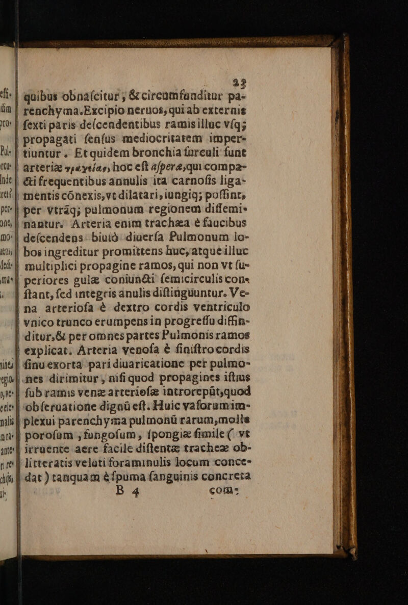 im QU Bu ras pet. Jt, (10 dedi: mnis iJ | 23 | quibus obna(citur ; &amp; circamfaaditur pa- renchy ma.Excipio neruos, qui ab externis fexti paris de(cendentibus ramisilluc víq; propagati fenfus mediocritatem itnper- | tiuntur. Etquidem bronchia farculi funt arteria spe ytías, hoc eft afpere,qui compa- | &amp;ifrequentibus annulis ita carnofis liga- tnentis cónexis,vt dilatari,iungig; poffint, | per vtráqg; pulmonum regionem ditfemi* | nantur. Arteria enim trachza é faucibus | deícendens- biuió. diuería Pulmonum lo- bos ingreditur promittens huc,atqueilluc multiplici propagine ramos, qui non vt fu- periores gula coniun&amp;i femicirculis con« ftant, fed integris anulis diftinguuntur. Ve- | na arteriofa é dextro cordis ventriculo | vnico trunco erumpensin progreffu difin- | ditur,&amp; per omnes partes Puimonis ramos | explicat. Arteria venofa € finiftrocordis | finuexorta paridiuaricatione per pulmo- |.nes dirimitur , nifiquod propagines iftius |'obíeruatione dignü eft. Huic vaforumim- | porofüm ,fangofum, fpongis fimile (. vt | irrüente aere facile diflentaz trachez ob- | littecatis velati foraminulis locum conce- | dat ) tanquam éfpuma fanguinis concreta B 4 | com