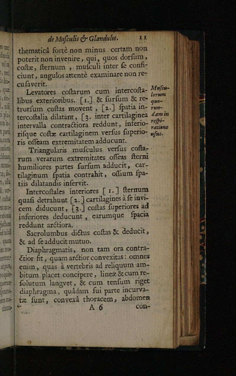 thematicá forté non minus. certàm non | poterit non invenire qui, quos dorfum | coftz, fternum ,. muículi inter fe confi- ciunt, angulos attenté examinare non re- cufaverit. ; Levatores coftarum cum intercoíta- *| libus exterioribus. [1.] &amp; furfum &amp; re- , trorfum coftas movent , [2.] fpatia in- tercoftalia dilatant, [3. inter cartilaginea intervalla contractiora reddunt, inferio- rique coftz cartilaginem. verfus fuperio- ris offeam extremitatem adducunt. | Triangularis mufculus verfus cofta- rum. verarum extremitates offeas fterni humiliores partes furfum adducit, car- tilaginum ífpatia contrahit, offium fpa- tiis dilatandis infervit. Intercoftales interiores [ 1. ] fterrum quafi detrahunt [2. ] cartilagines à fe invi- *| cem diducunt, [3.] coftas fuperiores ad: !| inferiores deducunt , earumque fpacia | reddunt ar&amp;iora. Sacrolumbus dictus ccítas &amp; deducit; &amp; ad íeadducit mutuo.  Diaphragmatis, non tam ora contra- &amp;üor fit , quam arctior convexitas: omnes enim , quas à vertebris ad reliquum am- bitum placet concipere, linex &amp;ccum re- folutum langvet, &amp; cum tenífum riget diaphragma, quádam fui parte incurva- tx funt, convexá thoracem; abdomen NS : A 6 con- YIQE RU PEIUEEDAga ME SOC BM PUN pots 1 p Xp UC e —— avissia^ -: