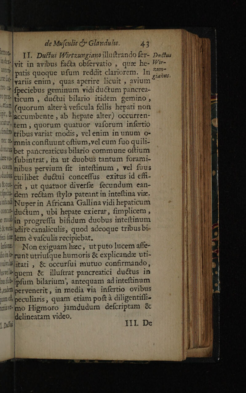 II. DuEui Wirtzungianoiuftrando fer- Dsdtas |vit in avibus facta obfervatio , quz he- J/m- |patis quoque ufum reddit clariorem. In RUE variis enim , quas aperire licuit , avium d fpeciebus geminum vidi ductum pancrea- Mticum , ductui bilario itidem gemino , illtauorum alterà veficula fellis hepati non üP,Élaccumbente, ab hepate alter) occurren- Uem quorum quatuor vaforum infertio ill tribus variat modis, velenim in unum o- C mnia confluunt oftium,vel cum fuo quili- Wllbet pancreaticus bilario commune oftium *I-fubintrat, ita ut duobus tantum forami- ülhibus pervium fit inteftinum , vel fuus üdBlewilibet du&amp;tui conceffus. exitus id effi- cit , ut quatuor diverfz fecundum ean- UMden rectam ftylo pateant in inteftina viz. WMiNwper in Africana Gallina vidi hepaticum Huctum , ubi hepate exierat, fimplicem , oim progreffu bifidum duobus inteftinum d nllhdire canaliculis, quod adeoque tribus bi- «i ilf lem &amp; vafculis recipiebat. Wim Non exiguam hzc, utputo lucem affe- loin Iramt utriufque humoris &amp; explicandx uti- winBlttati , &amp; occurfui mutuo confirmando, wilguem: &amp; illuftrat pancreatici ductus in wsfl-ipfum bilarium', antequam adinteftinum ] ,uiü|pervenerit, in media via infertio ovibus | pum d peculiaris , quam etiam poft à diligentifli- | l i lemon. Inde. anter mft 1TO (d fü pa. ] wi*imo Higmoro jamdudum deícriptam &amp; delineatam video. f. Duft III. De iustas MEO uale Rad cue 2E ciat dtm e n — 4^ itp —MÓ— M ———Ó— - mex d awake cuna RT -— - - A -- a cese — - aa t m - te co e MRcAeLÁA hm Ps ^ meten - : -- e am € erem 1 z t e Minn Y A F i: * , i r