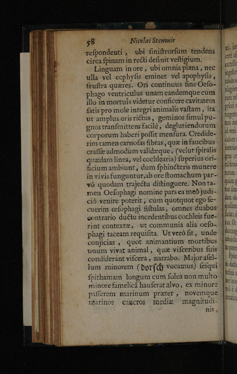 e (15 59 Nicolai St enonis zefpondenti , wbi finiftrorfum tendens circa fpinam in reti definit veftigium. Linguam inore, ubiomnia plana , nec ula vel ecphyfis eminet vel apophyfis fruftra quxres. Ori continuus fine Oefo- phago ventriculus unam eandemque cum illo in mortuis videtur conficere cavitatem ut amplus oris rictus, geminos fimul pu- gnos tranfmittens facilé, deglutiendorum corporum haberi poffit menfura. Credide- rim.tamen carnofas fibras , qux in faucibus craffe admodum validzque , (velut fpiralis quasdam linea, vel cochlearis) fuperius óri- &amp;cium ambiunt , dum fphinc&amp;teris munere: in vivisfunguntur,ab ore ftomachum par- và quodam trajectu diftinguere. Non ta- men Oefophagi nomine pars ea meó judi- ció venire poterit ; cum quotquot ego fe- contrario du&amp;u incedentibus cochleis fue- rint contextz, ut communia alia oefo- phagi taceam requifita. Ut veró fit, unde conjicias , quot animantium mortibus condideránt vifcera , narrabo. Major afel- lum minorem (bor(cd) vocamus) fefqui minore famelicá liauferat alvo, ex minore pifferem marinum przter, novemque marinos camcros medie —magnitudi- nis ni, 1n f certe a exculit | iet tibi à tiigine | run t | pon v E aen tungen | fam itf | tnterir | ters cr t armi | torum | | quàm f tur dm ob | eultem odit; d (us, Ut | duscinp Jade | (o pater |. Prio l i du | teni ltcine iuo 2 q | reto,