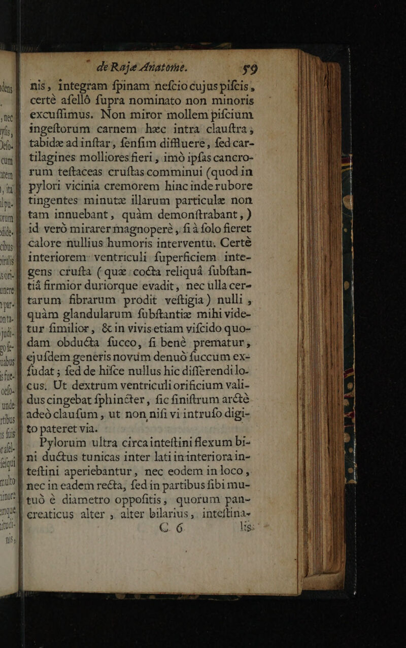 nis, integram fpinam nefcio cujus pifcis, certé afelló fupra nominato non minoris excuffimus. Non miror mollem pifcium. ingeftorum carnem hzc intra clauítra ; tabidx ad inftar, fenfim diflluere, fed car- tilagines molliores fieri , imó ipfas cancro- rum teftaceas cruítas comminut (quod in | pylori vicinia cremorem hincinde rubore | tingentes minutz illarum particule non | tam innueba int, quàm demonftrabant , ) id; veró mirarer magnopere ,. .fiàfolo fieret calore nullius humoris interventu. Certe interiorem: ventriculi fuperficiem inte- | gens crufta ( quz cocta reliquá. fubftan- | tiá firmior duriorque evadit, nec ulla cer- j| tarum fibrarum prodit veftigia) nulli , «| quàm glandularum fubftantix mihi vide- .f tur fimilior, &amp;in vivisetiam vifcido quo- | dam obducta íucco, fi bené prematur, | ejufdem generis novim denuó fuccum ex- | fudat ; fed de hifce nullus hic differendilo- | cus. Ut dextrum ventriculi orificium vali- | duscingebat fphinécter, fic finiftrum arcté esl | adeó claufum , ut non nifi vi intrufo digi- ,( f to pateret via. uU. Pylorum ultra circainteitini flexum bi- m ni ductus tunicas inter latii in interiora in- ; f teftini aperiebantur, nec eodem inloco, 18 nec in eadem recta, fed in partibus fibi mu- IY tuó &amp; diametro oppofitis ; quorum pan- IY ereaticus alter , alter bilarius, RETE: jtd C. 6 1$ nis]  unde —1