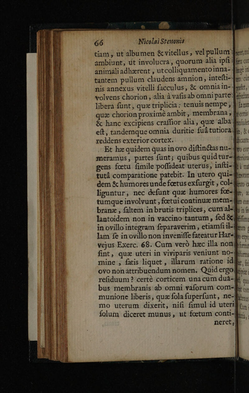 e — (15 66 Nicolai Stenonis tiam , ut albumen &amp; vitellus , vel pullum dye,i ambiunt, ut involucra, quorutn alia ipft fii on animali adhzrent , utcolliquamento inna- fir: i tantem pullum claudens amnion , intefti- Ju: ci nis annexus vitelli facculus; &amp; omnia in-- ilt volvens chorion , alia à vafisab omni parte: exon libera funt, qux triplicia: tenuis nempe ,' Tam quz chorion proximé ambit , membrana ; fyceris &amp;c hanc excipiens craffior alia, qux alba Boii: eít, tandemque omnia duritie fuá tutiora B», x xeddens exterior cortex. Mii Et hz quidem quas inovo diftin&amp;as nu- fn o: meramus, partes funt; quibus quid tur- frio: gens foetu fimile poffideat uterus, infti- Bri ni tutá comparatione patebit. In utero qui- finr dem &amp; humores unde foetus exfurgit , col f liguntur,. nec defunt quz humores foé- tumque involvunt , fcetui continux meme | branz , faltem in brutis triplices, cumal-8 lantoidem non in vaccino tantum , fed &amp; in ovillo integram feparaverim , etiamfi il-| lam fe inovillo non 1nveniffe fateatur Har-j vejus Exerc. 68. Cum veró hzc illa nonj fint, quz uteri in viviparis veniunt no-| mine , fatis liquet , illarum ratione id ovo nonattribuendum nomen. Qüid ergo| refiduum ? certé corticem. una cum duà- bus membranis ab omni vaforum com-j munione liberis, quz fola fuperfunt, ne- mo uterum dixerit, nifi fimul id uteri| folum diceret munus , ut foetum conti-| neret, | | fe Bt | lem fom form: tfe itr uy quo ?