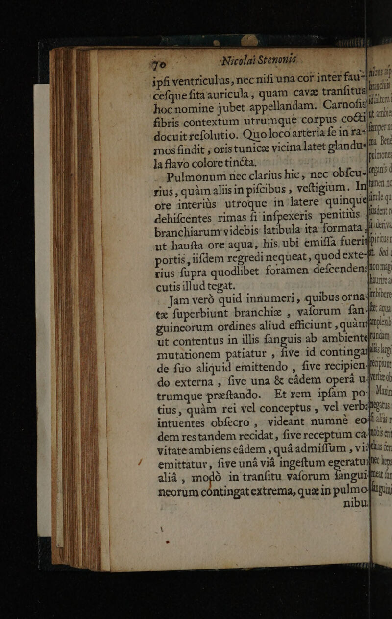 ipfi ventriculus, necnifi una cor inter fau ite cefquefitàauricula, quam cava tranfitus E. hoc nomine jubet appellandam. Carnofiz jum fibris contextum utrumque corpus cocti it a docuit refolutio. Quo loco arteria fe in ras npa mos findit ; oris tunica vicina latet glandu4^ Bene la flavo colore tincta. | pulmo Pulmonum nec clarius hic ; nec obfcu- gran C rius , quàm aliis in pifcibus , veftigium. Inu ore interiüs utroque in latere quinque]Ii: q dehifcentes rimas f1 infpexeris penitiüs | finnt branchiarum' videbis latibula ita formata Ji nva ut haufta ore aqua, his. ubi emiffa fuerit fpirims portis , iifdem regredi nequeat, quod extet $i rius fupra quodlibet foramen defcendenglonmp cutis illud tegat. lur fea jam veró quid innumeri , quibus orna- mbibere tx fuperbiunt branchiz , vaforum fan guineorum ordines aliud efficiunt , quàni pleri ut contentus in illis fanguis ab ambiente nam mutationem patiatur , five id contingatflsug de fuo aliquid emittendo , five recipien-[put do externa , five una &amp; eádem operà u- yerie ob trumque przftando. Et rem ipfam po: Mais tius, quàm rei vel conceptus , vel verbzpitgiu. intuentes obfecro , videant nummné eojl:ili: dem res tandem recidat,, five receptum cater vitateambiens eádem , quá admiffum , vi: lus fen emittatur, five uná vià ingeftum egeratuil lty alià, mogó in tranfitu vaforum fanguijat á neorum contingat extrema, quac in pu oJdin nibu.