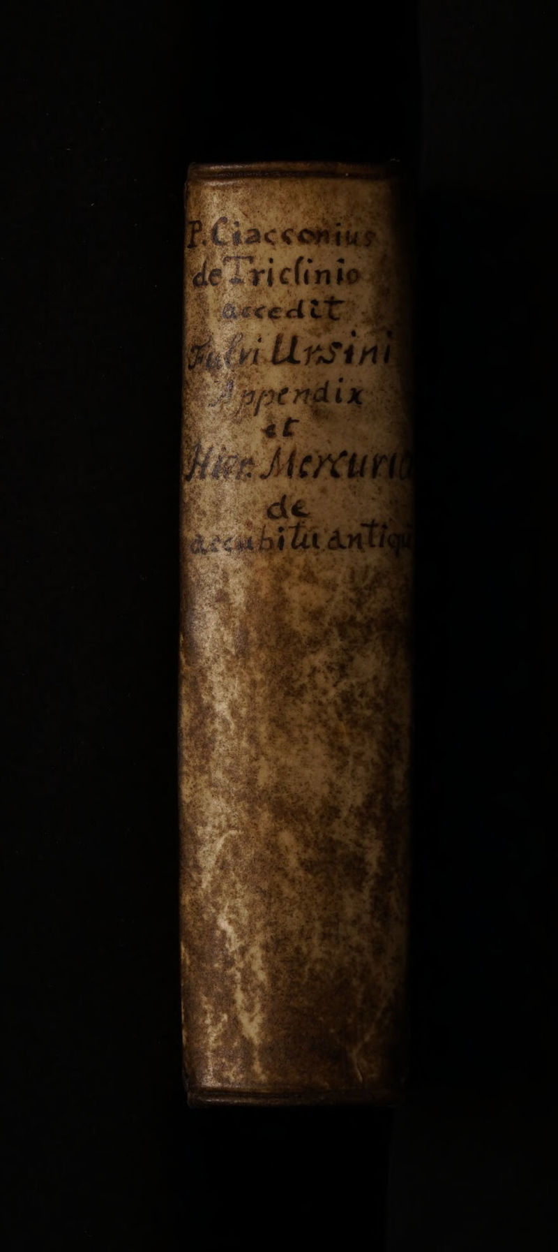 No text description is available for this image