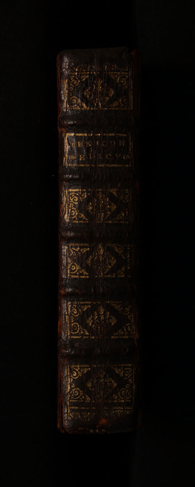 No text description is available for this image