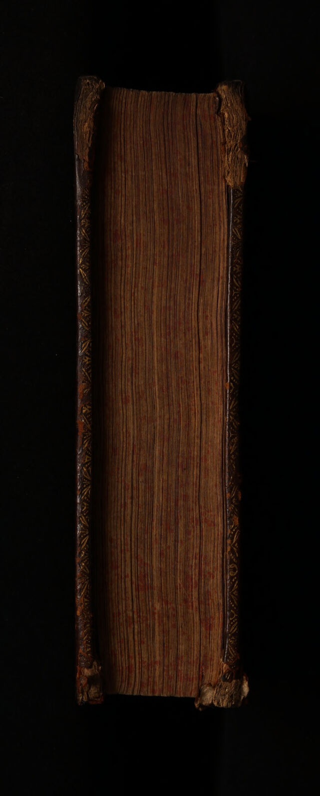 No text description is available for this image