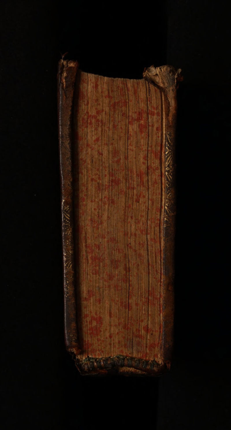 Ys ov (Cd E: ή ie pr 