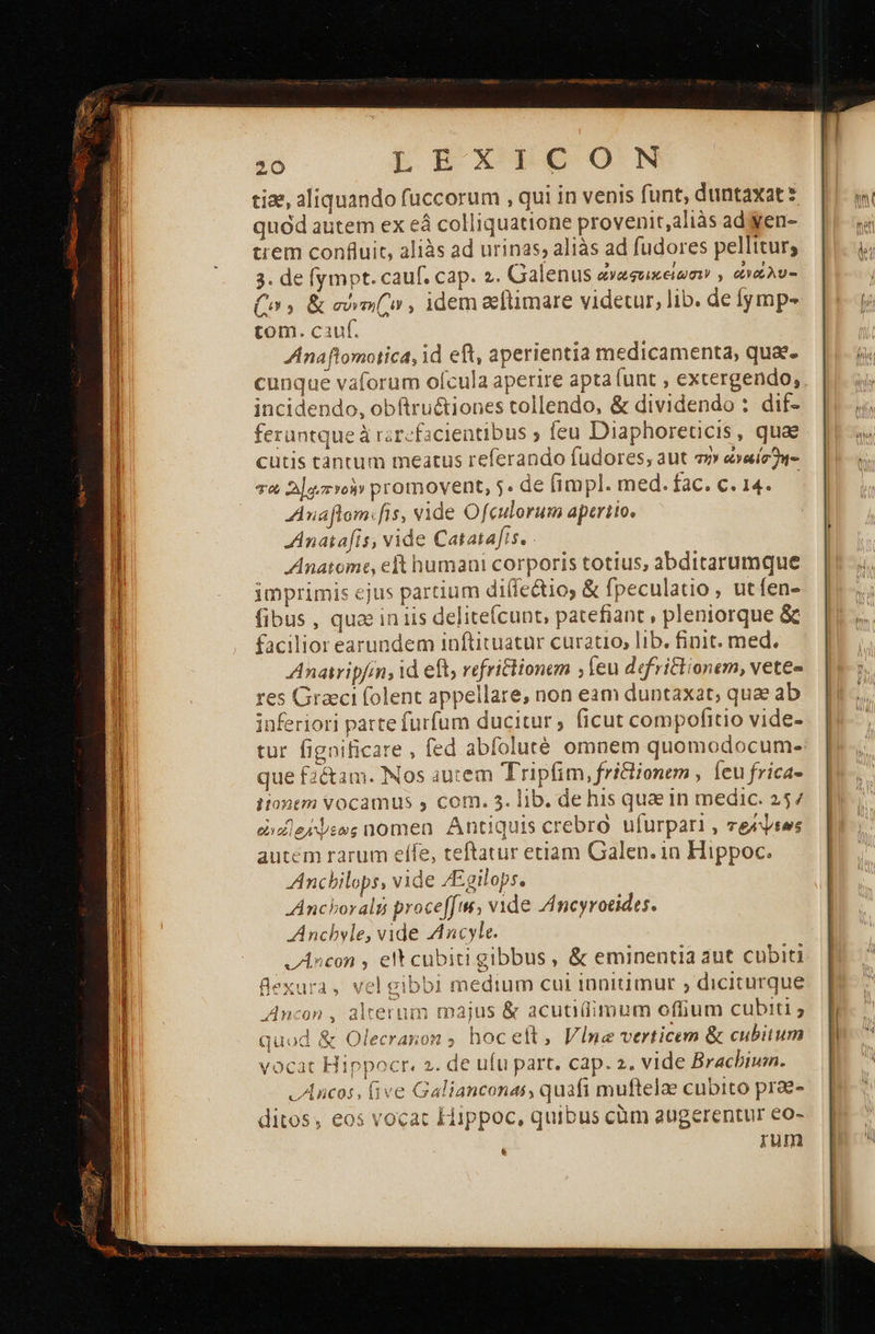       20 LEX RB ON ciae, aliquando fuccorum , qui in venis funt, duntaxat quód autem ex eá colliquatione provenit,aliàs ad'yen- trem confluit, aliàs ad urinas; aliàs ad fudores pelltturs 3. de (ympt. cauf. cap. 2. Galenus ἀναστικείωσιὺ , οναλυ- (o5 &amp; σύνσ(ω, idemllimare videtur, lib. de fymp- tom. cauf. Anaftomotica, id eft, aperientia medicamenta, qua. cunque vaforum ofcula aperire apta funt , extergendo, incidendo, obftru&amp;iones tollendo, &amp; dividendo : dif- feruntque à rar-facientibus ; feu Diaphoreticis, quae cutis tantum meatus referando fudores, aut τήν ἀνοίσλη-- τα «Ἀαιπνοὺν promovent, 5. de fimpl. med.fac.c.14..— Anaflom:fis, vide Ofculorum aperiio. AAnatafis, vide Catatafts. - Anatomte, eft humani corporis totius, abditarumque imprimis ejus partium diífectio; &amp; fpeculatio , utfen- fibus, qua in iis deliteícunt, patefiant , pleniorque ὃς facilior earundem inftituatür curatio, lib. finit. med. Anatripfin; id eft; refri&amp;tionem Teu defrittionem, vete- res Graeci folent appellare, non eam duntaxat; quae ab inferiori parte furfum ducitur, (icut compofitio vide- tur fignificare , fed abfoluté omnem quomodocum- que f2&amp;tam. Nos autem Tripfim, frilionem , Íeu frica- ionem Vocamus , com. 3. lib. de his que in medic. 257 ὠια]ριψεως nomen Antiquis crebro ufurpari , veebses autem rarum elfe, teftatur etiam Galen. in Hippoc. Anchilops, vide /Egilops. «ΑπεΡογαἰή proce[fts, vide Πεγγοείάε». Anchyle, vide Ancyle. vAncon , elt cubiti gibbus , &amp; eminentia aut cubiti Bexura, vel gibbi medium cui innitimur » diciturque Ancon , alterum majus &amp; acutiliimum offium cubiti ; vocat Hippocr. 2. de ufu part. cap. 2. vide Bracbium. -Ancos, (ive Galianconas, quafi muftelae cubito prae- ditos, eos vocat Hippoc, quibus cüm augerentur eo- mmm * 