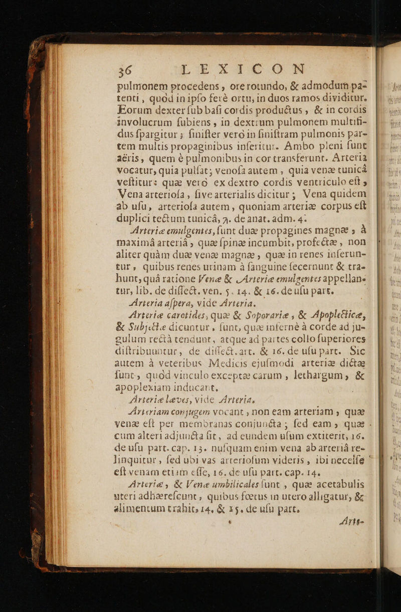             36 LL τις ο. pulmonem ptocedens , ore rotundo, &amp; admodum pa- tenti, quad in ipfo feré ortu, in duos ramos dividitur. Eorum dexter fub bafi cordis productus , &amp; in cordis involucrum fubiens , in dextrum λος. em multifi- dus fpargitur ; finifter vera in finiftram pulmonis par- tem multis propagipibus inferitur. Ambo pleni funt aéris, quem é pulmonibus in cor transferunt. Arteria Vocatur, quia pulfat; venofa autem , quia venae tunica veftitur: qua vera ex dextro cordis ventriculo eft ; Vena arterioía , fivearterialis dicitur; Vena quidem ab ufu, arteriofa autem, quoniam arteriae corpus eft duplici te&amp;um tunicá, 3. de anat. adm. 4. JArterie emuilgentes, funt duae pro pagines magne s À maximá arteriá , quae [pinas incumbit, profcétae non aliter quàm duae venge magna , quae jn renes 1nferun- tur, quibus renes urinam à fanguine fecernunt &amp; tra- hunt, quá ratione lene : vArterie emulsentes appellan. tur, lib. de difle&amp;t. ven. 5. 14. &amp; 16. dei üfu part. Arterie carotides, quae &amp; Soporarie , ὃς Apopletiice, &amp; Subjcee dicuntur, funt, qua inferné à corde ad ju- 2ulum rectà cendunt, atque ad partes collo fuperiores diftribuantur, de difiec &amp;.art, &amp; 16. de ufu part. Sic autem à veterib us Medicis ejufmodi arterias dictae funt » quod vinculo exceptae carum , lethargum; &amp; aàpoj plexiam induc at t. n terie lever, vide Arteria, ZÁvieriam conjugegm vOCQDt ; non eam arteriam ; qua venz eft per membranas conjuncta ; fed eam ; quae cum alteriadjuncta πε, ad eundem ufum extiterit, 16. de ufu part. cap. 13. nufquam enim vena abarteriá re- linquitur , fed ubi vas arteriofum videris , ibi necelíe | eft venam etiim effe, 16. de ufu part. cap. r4. Arteria ὃς Vene umbilicalesfunt , quae acetabulis uteri adlierefcunt , quibus feetus in utero alligatur, ὃς alimentum trahito 14, ὃς x5. de ufu part, ἳ ἅγη-