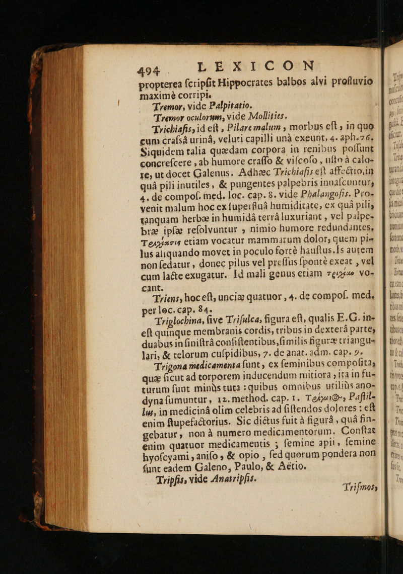   4v. — IEUDUICONN propterea fcripfit Hippocrates balbos alvi profluvio maximé corrIpte Tremor, vide Palpitatio. Eremor oculorum, vide Mollities, cum crafsá uriná, veluti capilli unà exeunt, 4- aph«76, Siquidem talia quzdam corpora in renibus poffunt concrefcere , ab humore οταβο &amp; viícofo , uíto à calo- 1e, ut docet Galenus. Adheec Trichiafis e! affectio,in quá pili inutiles, &amp; pungentes palpebris innafcunturg 4. de compof. med. loc. cap. 8. vide Phalangofis. Pro- venit malum hoc ex fuperfluá humiditate, ex quà pilis tanquam herba in humidá terrà luxuriant , vel palpe- bra ipfa refolvuntur ; nimio humore redundintes, Τοθλχίασις etiam vocatur mammarum dolor; quem pi» lus aliquando movet in poculo forté hauftus.Is autem non fedatur , donec pilus vel preffus fponté exeat , vel cum la&amp;e exugatur. Id mali genus etiam vga» vo- cant. Tries, hoceft, unciae quatuor , 4. de compof. med, per lec. cap. 34. Triglochina, five Trifulca, figura eft, qualis E.G. in- eft quinque membranis cordis, tribus in dexterá parte, duabus in finiflrrá confiftentibus, fimilis Bigurze trtangue lari, &amp; telorum cufípidibus, 7. de anar. adm. cap. 0. Trigona medicamenta funt , ex feminibus com pofita qua ficut ad torporem inducendum mitiora ita in fu- turum funt minüs tuta : quibus omnibus uriliàs ano- dyna fumuntur, 12. method. cap. 1. Tere Paftil- li, in mediciná olim celebris ad (iftendos dolores : eft enim ftupefa&amp;orius. Sic di&amp;us fuit à figurà , quá fin- gebatur, nonà numero medicamentorum. Conftat enim quatuor medicamentis ; femine apit, femine hyofcyami anifo 9 &amp; opio , fed quorum pondera non fünt eadem Galeno, Paulo, ὃς Aetio. Tripfis, vide Anatripfit. | row 