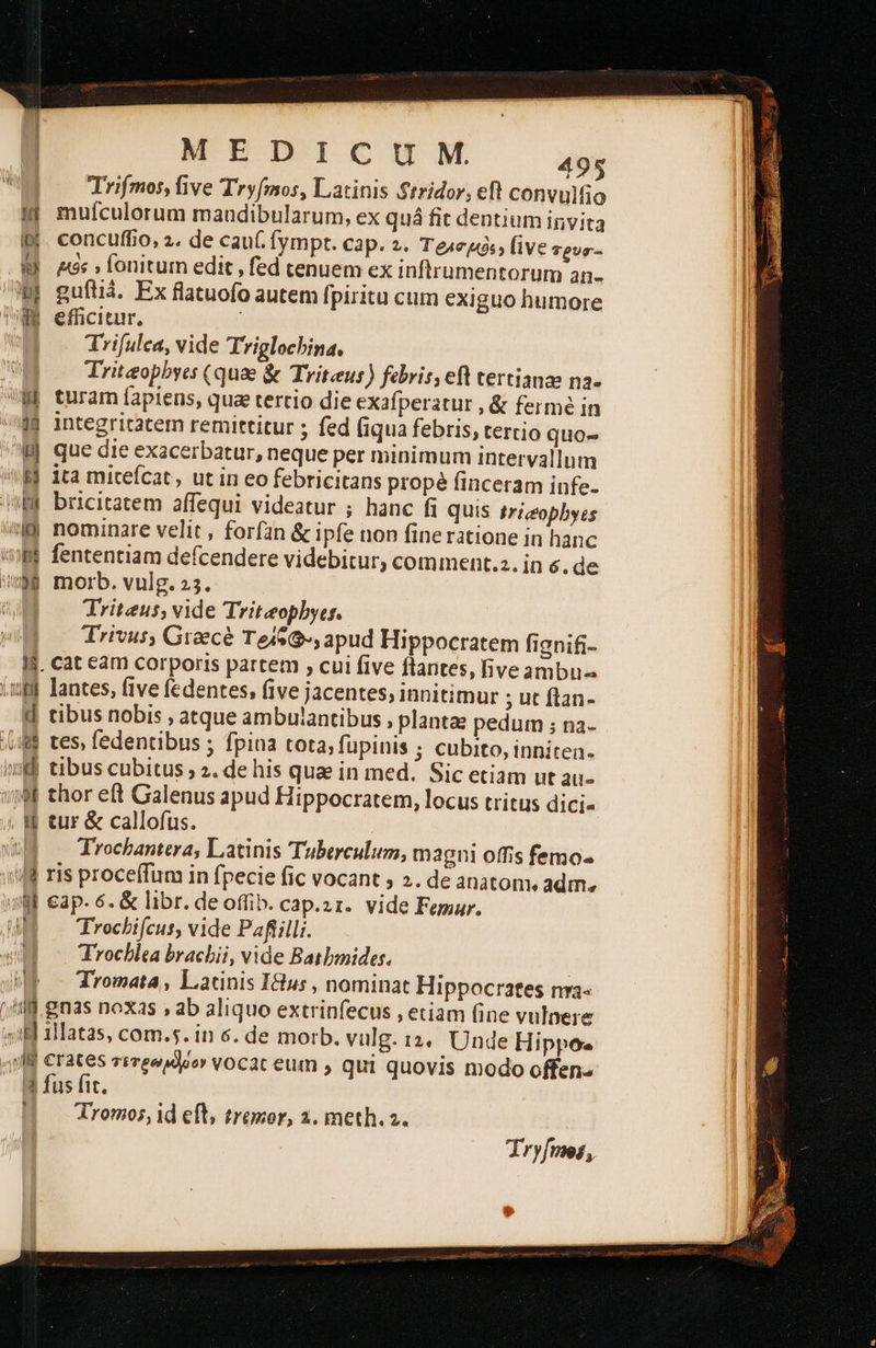      MEDICUM Trifmos, five Tryfmos, Latinis Stridor, eft convultio muículorum mandibularum, ex quá fit dentium invita ii. concuffio, 2. de cau fympt. cap. 2. Τβλσμὸο five TpUr- j* Trifulca, vide Triglochina. Triteopbyes (quae &amp; Triteeus) febris, eft tertianae na- ij integritatem remittitur ; fed (iqua febris, tertio quo- fj que die exacerbatur, neque per minimum intervallum Triteus, vide Triteopbyer. Trivus, Groecé ΤοςΦ», apud Hippocratem fignifi- Id. cat eam corporis partem » cui five flantes, ive ambue HW tibus nobis , atque ambulantibus , plantae pedum ; na- 8 tur &amp; callofus. : Trochantera, Latinis Tubereulum, magni offis femo- Trochlta brachii, vide Batbmides. Tromata , Latinis Ius , nominat Hippocrates nra- I2 fus fit. ᾗ A romos, id eft, trazor, 2. meth.z. Tryfmos,                    