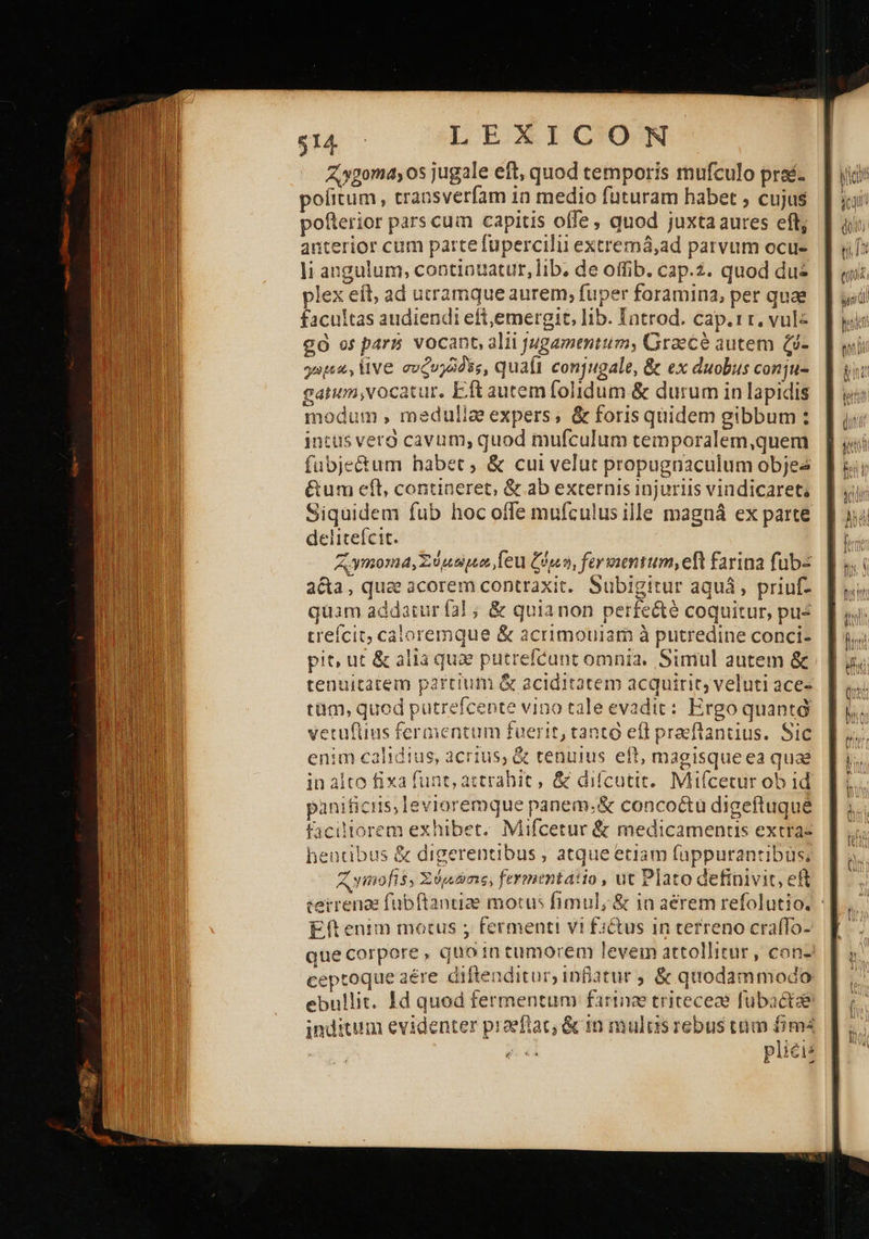  Zogoma, os jugale eft, quod temporis mufculo praé- politum, cransverfam in medio futuram habet , cujus potterior pars cum capitis offe, quod juxta aures eft; anterior cum parte fupercilii extremá,ad parvum ocu- plex eíl, ad utramque aurem, fuper foramina, per quae facultas audiendi eft,emergit, lib. Introd. cap.rr. vul« σὸ os pars vocant, alii jugamentum; Graecé autem ζύ- apu, live συζυγῶδᾶς, quaft conjugale, &amp; ex duobus conju- gatum,vocatur. Eft autem folidum &amp; durum in lapidis modum , medulla expers; &amp; forisquidem gibbum: intüs vero cavum, quod mufculum temporalem,quem fubjectum habet, &amp; cui velut propugnaculum objea &amp;um efl, contineret, &amp; ab externis injuriis vindicaret, Siquidem fub hoc offe mufculus ille magná ex parte delitefcit. A ymoma, Σὐμώμερε, [εἰ] Cón9, farvientum,eft farina fub a&amp;a, quae acorem contraxit. Subigitur aquá, priuf- quam addatur fal ; &amp; quianon perfe&amp;é coquitur, pus creícit; caloremque &amp; acrimouiam à putredine conci- pit, ut ὃς alia qua putrefcunt omnia. Simul autem &amp; tenuitatem parcium &amp; aciditatem acquirit, veluti ace- tüm, quod putrefcente vino tale evadit: Ergo quantà vetuftius fermentum fuerit, tanto efl praeftantius. Sic enim calidtus, acrius, &amp; tenuius eft, magisqueea quae in alto fixa funt, attrahit , δὲ difcutit. Mifcecur ob id panificiis, levioremque panem;&amp; concoctü digeftuqué faciltorem exhibet. Mifcetur &amp; medicamentis extras hencibus &amp; digerentibus ; atque etiam fappurantibus, Aymofts, Σμώσις, fermentatio , ut Plato definivit, eft cetrenaz fubftanciae motus fimul; &amp; in aerem refolutio. : Etenim motus ; ferment! vi fi&amp;us in terreno cra(fo- que corpore , quo in tumorem levein attollitur , con- ceptoque aére diftenditur, inflatur ; &amp; quodammodo ebullit. Id quod fermentum farte tritecede fubaéctze inditum evidenter praeftat; &amp; in mulusrebus tum fim ρέει” 
