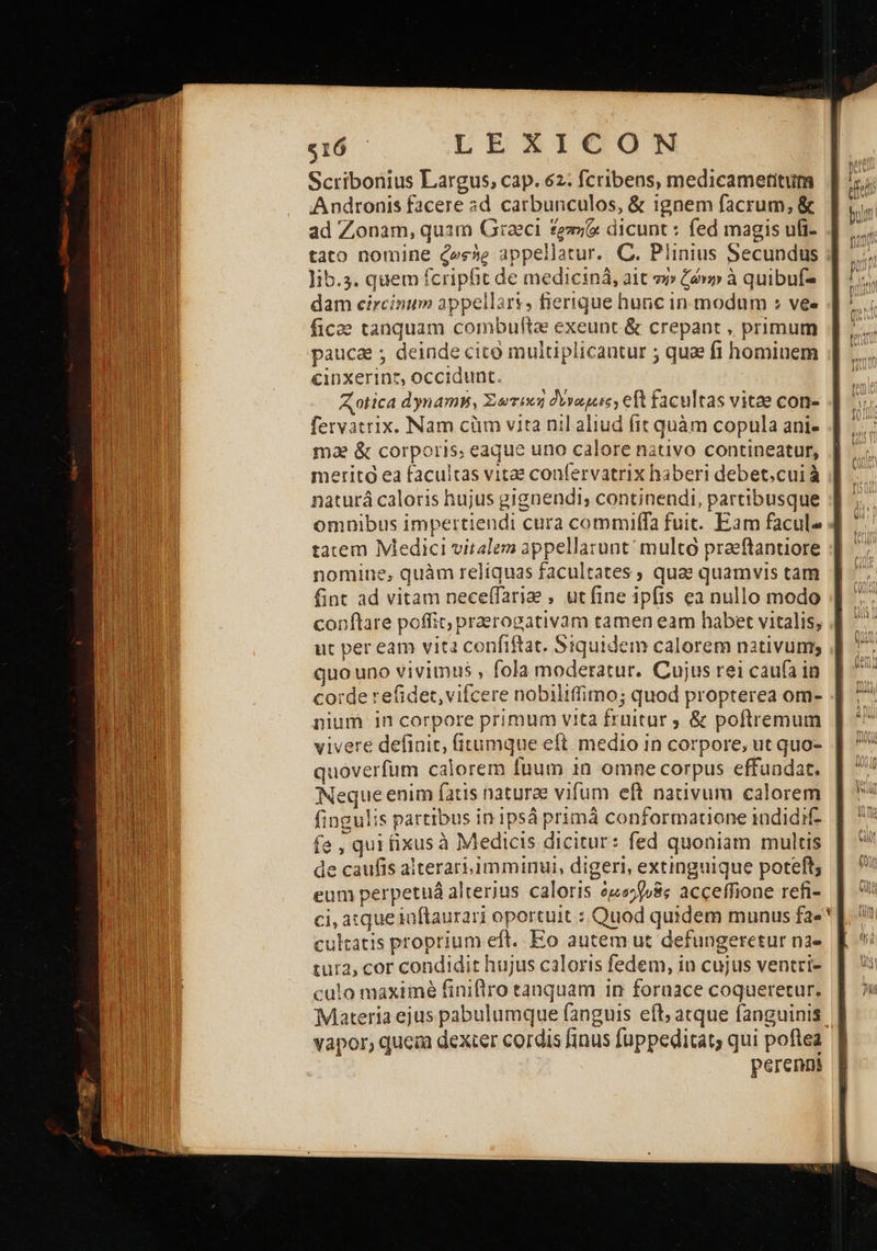 «τό — LEXICON Scribonius Largus, cap. 62. fcribens, medicametitum Andronis facere ad. carbunculos, &amp; ignem facrum, &amp; ad Zonam, quim Graeci fem; dicunt : fed magis ufi- tato nomine cesse appellatur. C. Plinius Secundus lib.3. quem fcripfit de mediciná, ait o» ζώνη à quibuf- dam circinum appellars, fierique hunc inmodum : ves fice tanquam combuftae exeunt ὃς crepant , primum paucae ; deinde cito multiplicantur ; qua fi hominem cinxerinz, occidunt. A otica dynamhs, Σώτεκὴ dyvaque, eft facultas vitae cone fervatrix. Nam cüm vita nil aliud fit quàm copula ani- mae &amp; corporis. eaque uno calore nativo contineatur, merito ea facultas vitae confervatrix haberi debet.cui à naturá caloris hujus gignendi, continendi, partibusque omnibus impertiendi cura commilfa fuit. Eam facul- taiem Medici vitalem appellarunt multo praeftantiore nomine, quàm reliquas facultates ; quae quamvis tam fint ad vitam neceffariee , utfine ipfis ea nullo modo conpftare poffit, praerogativam tamen eam habet vitalis, ut per eam vita confiftat. Siquidem calorem nativum; quouno vivimus , fola moderatur. Cujus rei caufa in nium in corpore primum vita fruitur ; &amp; poftremum vivere definit, fitumque eft. medio in corpore, ut quo- quóverfum calorem fuum in omne corpus effunadat. Neque enim fatis naturae vifum eft nativum calorem fingulis partibus in ipsá primá conformatione indidit ie , qui (fixus à Medicis dicitur: fed quoniam multis de caufis alterari.1mminui, digeri, extinguique poteft; eum perpetuá alterius caloris ὀμοβνᾶς acceffione refi- ci, atque iaflaurari oportuit : Quod quidem munus fa.* culratis proprium eft. Eo autem ut defungeretur na- tur2, cor condidit hujus caloris fedem, in cujus ventri- culo maximé finifiro tanquam in fornace coqueretur. Materia ejus pabulumque fanguis eft; atque fanguinis. Ἡ vapor, quem dexier cordis finus fuppeditat, qui poftea perenni 