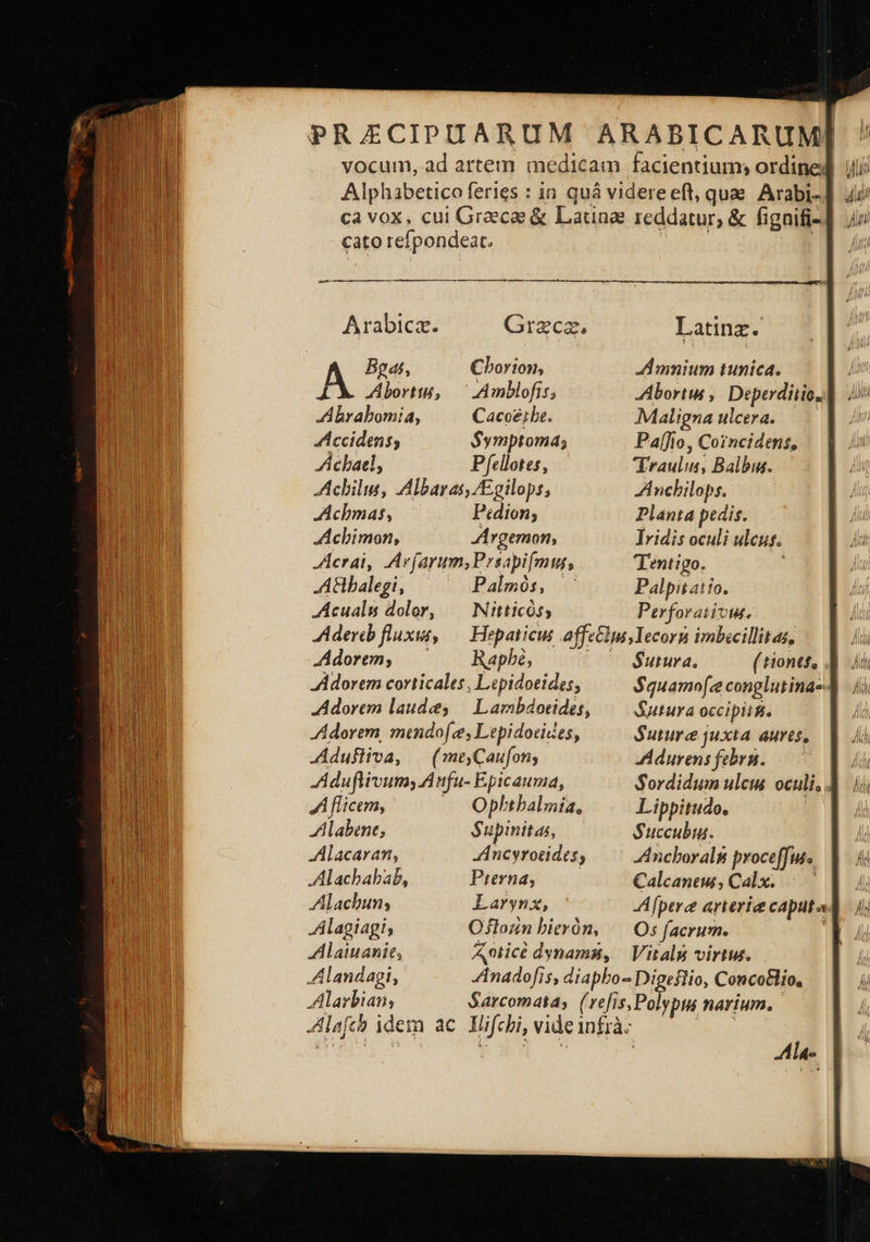 PRAECIPIARUM ARABICARUM vocum, ad artem medicam facientium; ordine: Alphabetico feries : in quà videreeft, quae. Arabi- ca vox, cui Graece &amp; Laune reddatur; ὃς fignifi- cato refpondeat. : d Arabica. Greca. Latinz. Bgat, Cborion, JAmnium tunica. ZÁbrabomia, Cacoé;be. Maligna ulcera. AÁccidens; Symptoma; Pa[fio, Co?ncidens, 4εραεί, Pfellotes, Traulus, Balbis..— Achili, Zlbaras, Egilops, Anchilops. Achmas, P«dion; Planta pedis. Achimon, ZArgemon, Tridis oculi ulcus. JAcrai, Avíarum,Prsapi[mus, Tentigo. A&amp;balegi, Palmós, Palpitatto. -Acuals dolor, — Nitticóss Perforaiivus. Adercb fluxit, — Hepaticus affe&amp;ins,Tecorn imbecillitas, dorem, ^ Rapbi, | $utura. ( tiones, JAdorem corticales, Lepidoeides, $quamo[e conglutina- Adorem laudes — Lambdoeides, Sutura occipiisi. dorem, mamndo[es Lepidocices, Suture juxta aures, “άμυνα, | (meyCaufon; Adurensfebru. —— Aduftivumy Aufu- Epicauma, Sordidum ulcus oculi, À A flicem, — Opbthbalmia, Lippitudo., | Alabene, Supinitas, Succubin. Alacaran, JAncyrotides, ^ Ancboralg proceffus Alachabab, Pterna; Calcaneu, Calx. —.' Alacbun; Larynx, -Afpere arteria caputa Alagiagis Ojloun bierón, Οἱ facrum. | Alaiuanit, Aticé dynams, | Vitalg virtus. Alandagi, inadofis, diapho- Digeflio, ConcoHlio, Alarbian, Sarcomata, ('refis, Polypi narium. | Alafch idem ac ILifcbi,videinfrào: — | 