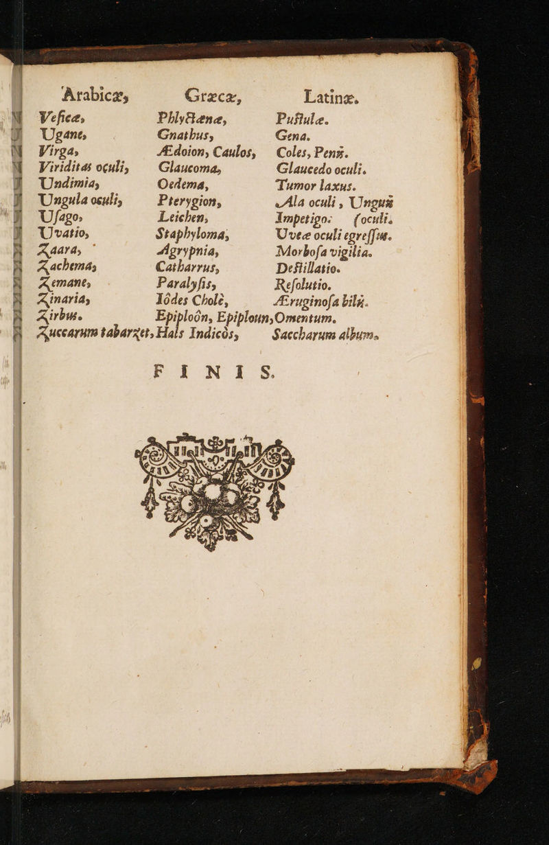 Ve fice » Ugane; Virga; Viriditas oculi, Undimia; Uongnula oculi; Ufago, U'vatio, 4474, Aachbena; A amant; A maria; Airbus. PhlyGene, Gnaibus, AE doion, Caulos, Glaucoma, Oedema, Pterygion, Leichen, Sraphbyloma, Agrypnia, Catbarrus, Paralyfis, Jódes Chole,            Puflule. Gena. Coles, Penz. Glaucedo oculi, Tumor laxus. v/Ala oculi , Ungus Vmpetigo: — (oculi, Uvee oculi egre[fuu. Morbofa vigilia. Defiillatio. Refolutio. Erugino[a big.  