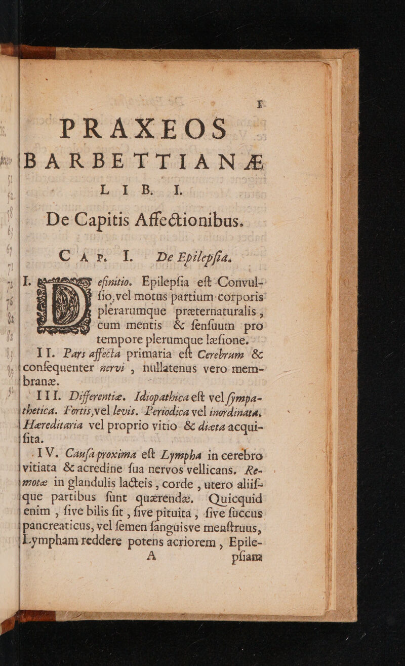 | PRAXEOS IBARBETTIANJE AME CAMUN De Capitis Affectionibus. | C Ar. L DeEpilepfa. S efti. Epilepfia eft .Convul- B í1o,vel motus pattium corporis ? plerarumque preeternaturalis ; aZ cum mentis &amp; fenfüum pro tempore plerumque lafione. (| ILE. Parsaffeia primaria eft Cerebragms &amp; .[confequenter serv; , nullatenus vero mem- ! branae. : | IIL Déferentie. Idipathia et vel fympa- Itbetica. Fortis, vel levis. Periodica vel inordinata. | ELereditaría. vel proprio vitio &amp; d/era acqui- |fita. | ;1V.. Casfaproxima et Lympba in cerebro |vitiata &amp; acredine fua nervos vellicans. Ae- Jsmote in glandulis lacteis ; corde , utero aliif- l . d e ? |que partibus fünt quarende. Quicquid | enim , five bilis fit , five pituita ; five füccus | pancreaticus, vel femen fanguisve menftrüus, Lympham reddere potens acriorem , Epile- A píiam 1 l | | | | |