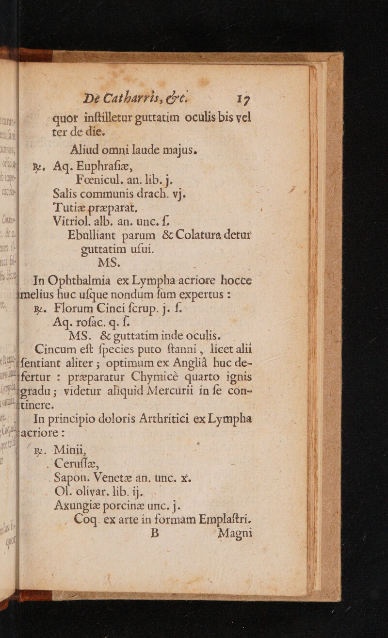 quor inftilletur guttatim oculis bis vel ter de die. Aliud omni laude majus. &amp;. Aq.Euphrafiz, Foenicul. an. lib. J. Salis communis drach. vj. Tutie prepatat, Vitriol. alb. an. unc. f. Ebulliant parum &amp; Colatura detur guttatim ufui. MS. In Ophthalmia ex Lympha acriore hocce jmelius huc ufque nondum fum expertus : &amp;. Florum Cinci fcrup. j. f. Aq. rofac. q. f. MS. &amp;guttatim inde Rr Cincum eft fpecies puto ftanni, licet alii Mentiant aliter ; optimum ex Angli huc de- AMertur : praeparatur Chyrmicé quarto ignis Jeradu; videtur aliquid Mercurii in fe con- ^jtnere. In principio doloris Arthritici ex Lympha flacriore : CerufTz, Sapon. Veneta an. ünc. X. Ol. olivar. lib. ij. Axungiz porcinz unc. j. Coq. ex arte in formam Emplaftri. B Magni