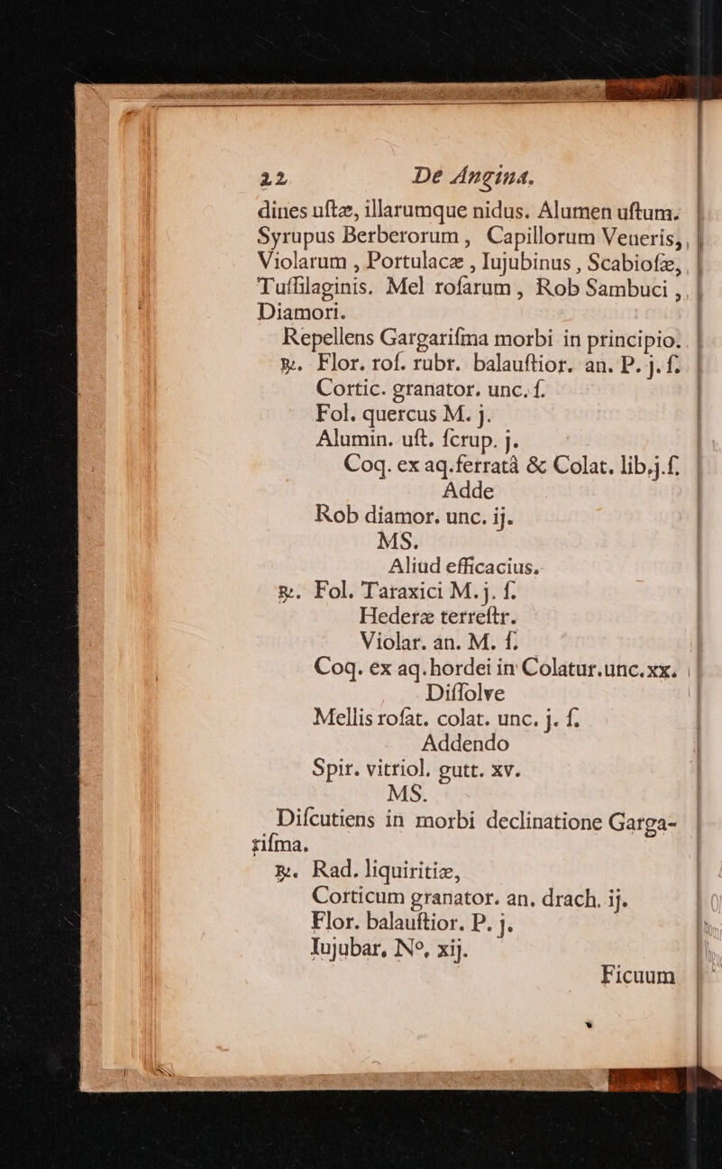 dines uftz, illarumque nidus. Alumen uftam. Syrupus Berberorum , Capillorum Veueris,, | Violarum , Portulace , Iujubinus , Scabiofz, | | Tuffilaginis. Mel rofarum , Rob Sambuci ,. | Diamort. | Repellens Gargarifma morbi in principio. . | &amp;.. Flor. rof. rubr. balauftior. an. P. j.f.. | Cortic. granator. unc. f. | Fol. quercus M. j. | Alumin. uft. fcrup. j. | Coq. ex aq.ferratà &amp; Colat. lib... | Adde | Rob diamor. unc. ij. MS. Aliud efficacius. &amp;. Fol. Taraxici M. j. f. Hederz terreftr. Violar. an. M. f. Coq. ex aq. hordei in Colatur.unc.xx. | Diífolve | Mellis rofat. colat. unc. j. f. Addendo Spir. vitriol, gutt. xv. MS Ficuum