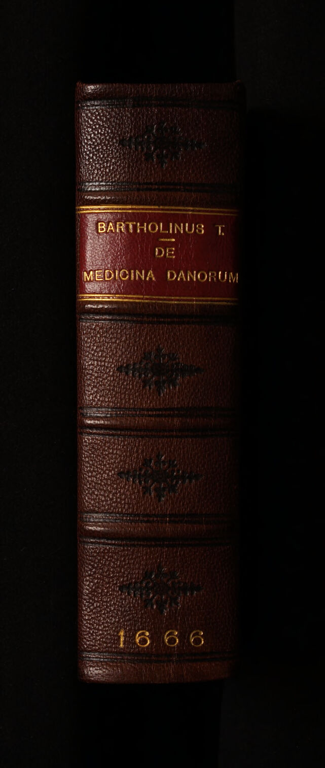 No text description is available for this image