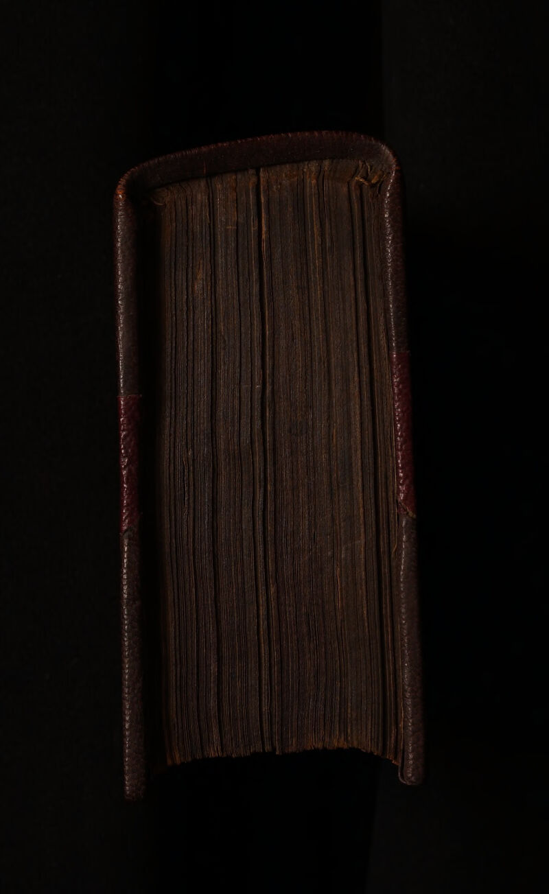 Wes raw c DT ape d videt MN MN i ex