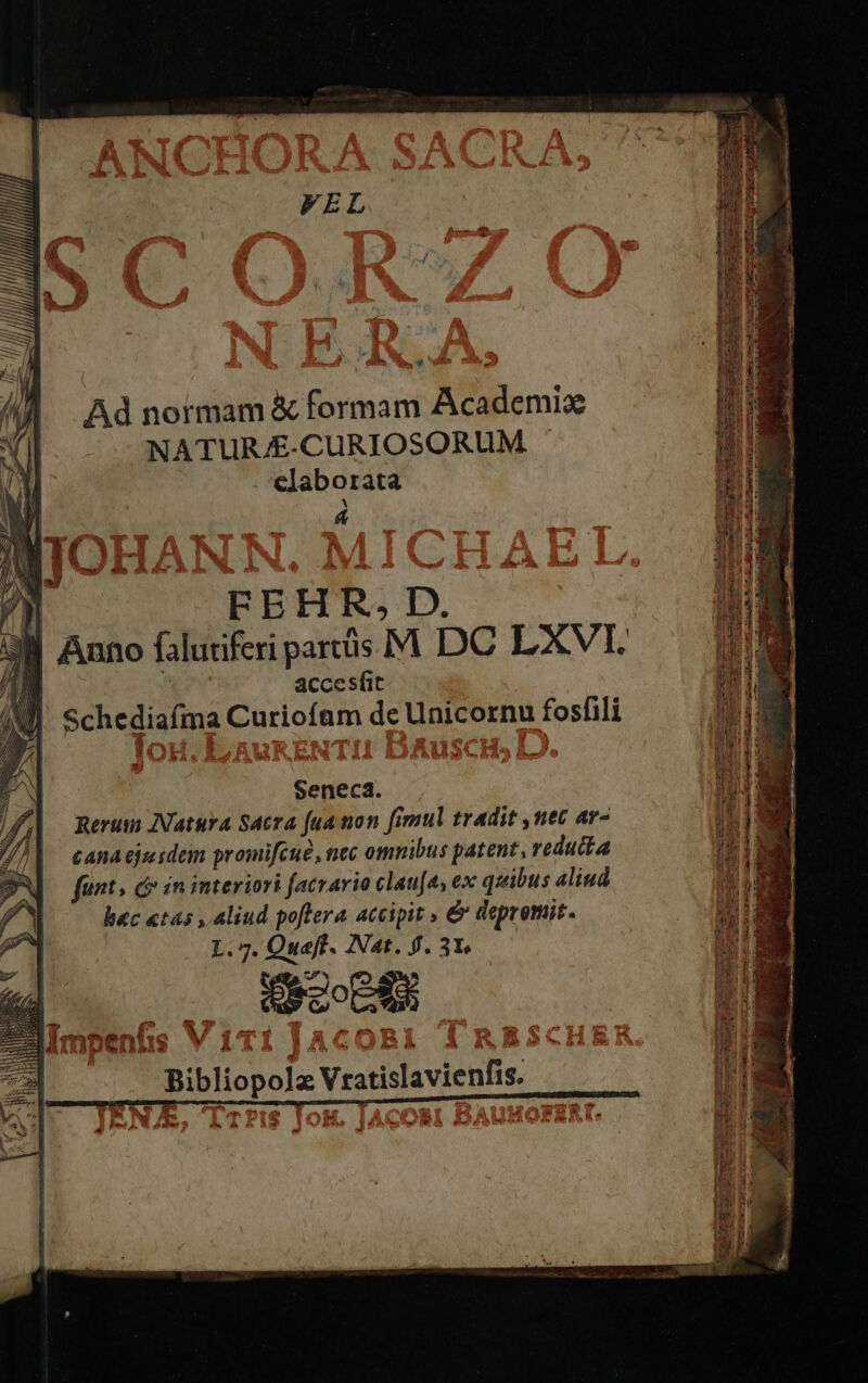 s^ » Ad normam &amp; formam Academiz NATURJ£-CURIOSORUM elaborata &amp; FEHR.D. accesfit Schediaíma Curiofam de Unicornu fosfili Seneca. Rerum INatura Sacra fua non fimul tradit ,nec ar- cAnA ejusdem promifcué, nec omnibus patent, reducta funt, c in interiori facrario clauja, ex quibus aliud bac «tas , Aliud poflera accipit , &amp; depromit. L.7. Oucft. Nat.$.3*. —— deco 255 ibliopolz Vratislavienfis. e am