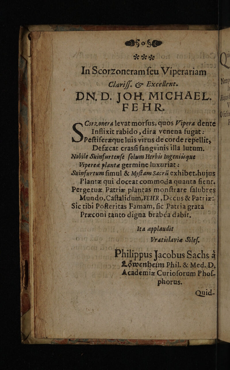 dde In Scorzoncramfcu Viperariam . Claviff. «g* Excellent. DN.D. JOH. MICHAEL. | FEHR. Corz.ottra Yevat morfus; quos F'ipera dente | S Inflixit rabido, dira venena fugat: Peftiferzque luis virus de corde repellit, Defzcat crasfi fangvinis illa lutum. Nobile Suinfurtenfe. [alum Herbrs ingenizsque Viperea plante germine luxuriat : Suinfurtum fimul &amp; Myf£am Sacr exhibet;hujus Plantz qui doceat commoda quanta fient, Pergetuz, Patrie plantas monftrare falubres Mundo,Caftalidum,FEHR ,Décus &amp; Patriz:. | Sic tibi Pofteritas Famam, fic Patria grata Praconi ranto digna brabéa dabir. : Ita applaudit Vratzslavie Silef. Quid.