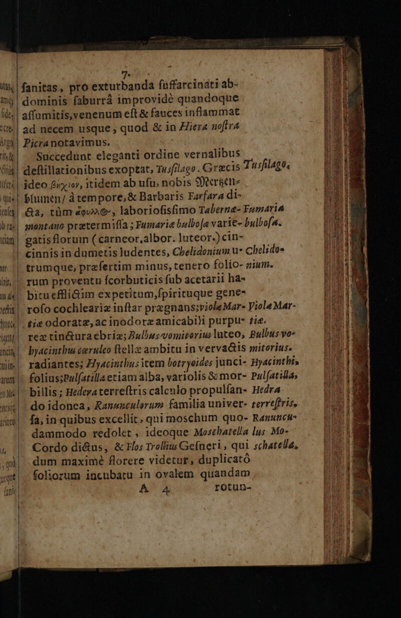 9j. fanitas, pro exturbanda fuffarcinati ab- | dominis faburrá improvidé quandoque i ide | affumitis, venenum eft &amp; fauces inflammat Mdh | ad necem usque , quod &amp; in Hier noffra Ed — ip | Picranotavimus. W. i| - Succedunt eleganti ordine vernalibus wc &amp;iis| deftillationibus exoptat; T«:f/lago . Grecis Tusfilago. ru (t4 | ideo Bier, itidem ab ufu; nobis 9ter&amp;etie mi«| É(utnen/ àtempore;&amp; Barbaris Farfara di- we$| &amp;a, tüm «ev, laboriofisimo Taberne- Fomaria bne| montano pratermiffa ; Fumarie bulbo[e varie- bulboa. üm| gatisflorum ( carneor,albor. luteor.)cin- cinnis in dumetis ludentes, Cbelidonium u* Chelidos | (| trumque, praefertim minus, tenero folio- gium. d ii|. rum proventu fcorbuticis füb acetarii ha- inis bitueffli&amp;im expetitum,fpirituque gene- dis diit | rofo cochleariz inftar przgnans;violeMar- VioleMar- REL it. ie odorata, ac inodorz amicabili purpu- tie. mde di in|. rez tin&amp;ura ebria; Bulusvomiteriu luteo, Bulbus vo- này! byacinthus ceruleo ftellz ambitu 1n vetvad&amp;is mitorius. aa üim| radiantes; Hyacinthus item lotr eides junci- Hyacinthis EIE qun |^ folius;Palfatillaetiam alba; variolis 8; mor- Pulfatilla; Wr 4M | billis ; Hederaterreftris calculo propulfan- Hedra i 1:05 ' do idonea, Ranunculorum familia univer- zerreffris, TX jim fa, in quibus excellit; qui moschum quo- Ranmutcu- re -. dammodo redolet , ideoque Mosebatella lus. Mo- n li Cordo di&amp;us, &amp; Hos Trollitus Gefneri, qui schatella, na ,q0|. dum maxime florere videtur, duplicató Wat ;qt|.- foliorum incubatu in ovalem quandam vn fini | | A 4. Pann ü | 2