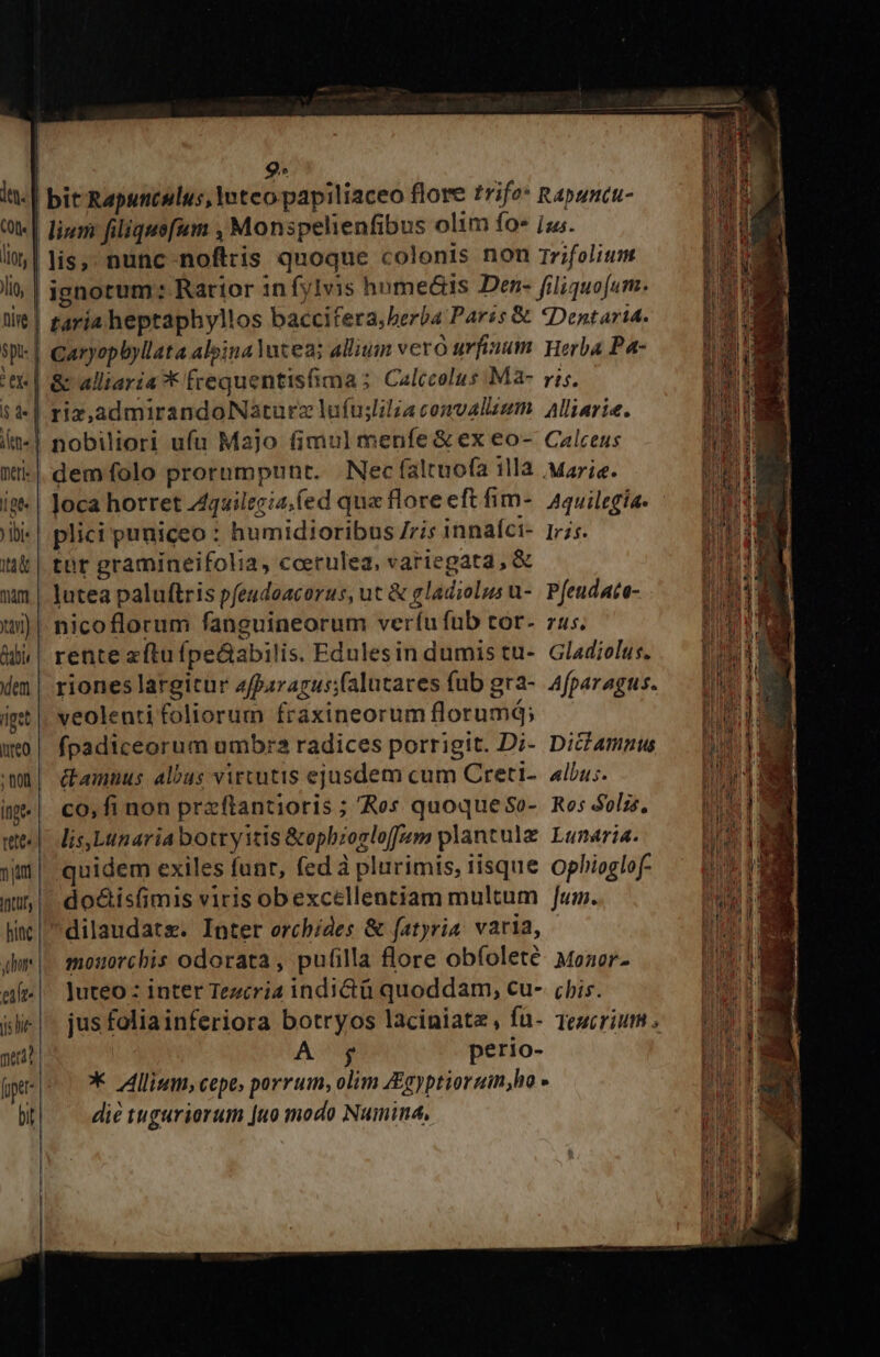dt. Cot. | lior, Jlig $ pu- : ey. | |$ de ene. meris gt. ) lbi: eno mant tay) dabis den niget uteo inge. tet. 7 jt Intus hiat dor alt. js hie nerd? bit taria heptaphyllos baccitera,berba Parss &amp; Caryopbyllata alpina Yutea: allium vero urfiaum &amp; alliaria * frequentisfima; Calccolus Ma- riz,aadmirandoNaturz lufujlilzaconvalisum nobiliori ufa Majo fimul menfe &amp; ex eo- dem folo prorumpunt. Nec faltuofa illa Joca horret Zquilecia.(ed qua flore eft fim- plici puniceo : humidioribus ris innaíci- tor gramineifolia, coerulea, variegata , &amp; lutea paluftris pfeudoacorus, ut &amp; gladiolus u- nicoflorum fanguineorum veríu fub tor- rente aftu fpe&amp;abilis. Edulesin dumis tu- riones largitür 4fparagus;(alutares fub gra- veolenti foliorum fraxineorum florumd; fpadiceorum umbra radices porrigit. Di- i'amuus albus virtutis ejusdem cum Creti- co, fi non przftantioris ; Res quoque So- lis,Lunaria botryitis &amp;opbzogloffz plantulz quidem exiles funr, (ed à plurimis, iisque do&amp;isfimis viris ob excellentiam multum mouorchis odorata, pufilla flore obfolete juteo : inter Tezcria indictü quoddam, cu- jus foliainferiora botryos laciniate, fu- A y perio- «Dentarid. Herba Pa- rif. Alliaris. Calceus Marie. Ir2s. Pfeudata- 7$, Gladiolus. Afparagus. Diclamnus Albus. Ros &amp;olis., Lunaria. Ophioglof- jum. Monor- cbis. Teucriut , die tuguriorum juo modo Numina,