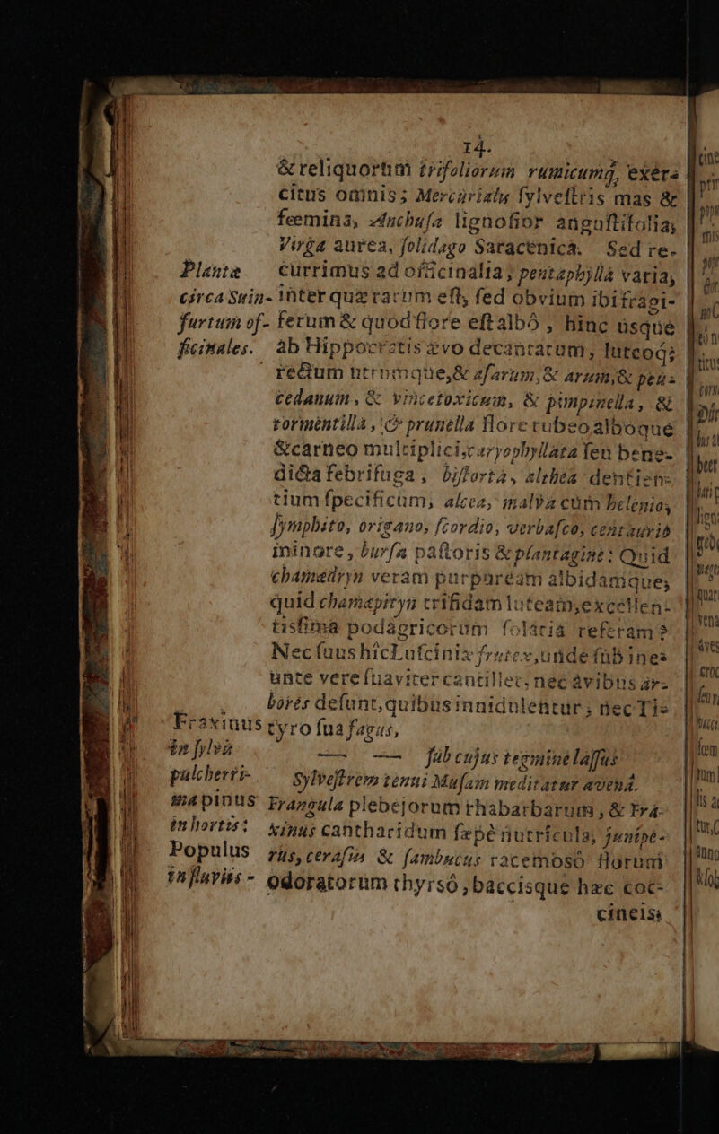 4. &amp; reliquortim trifeliorum rumicumg, exérs | citus odinis; Mercürizly fylveftris mas &amp; feemina, zdncbufa lignofior anguftitoliay. Virga aurea, folidago Saracenicá. Sed re- | Plane — Currimus ad ofccinalia ; peutapbjlla varia, | circa Suin- Vüter quz racim efl, fed obvium ibifragi- | furtum of- Ferum &amp; quodflore eftalbó , binc üsqué ficinales.. ab Hippocrztis £vo decantatum; lutcod: reum ntrimque&amp; zfarum,&amp; arm, &amp; peus | cedanum, &amp; vincetoxicum, &amp; pinpinella, R- toriméntilla ,'c» prunella Hore rubeo alboque &amp;carneo mulriplici;scazyephyllata feu bene- di&amp;afebrifuga, biforta, altbea dentien: tium fpecificum,; alcea; malva cutn belenios [ympbste, 0rigano, fcordio, verba[fco, cedtauvio iningre , burfa paftoris &amp; plantaginé : Quid cbameilryn verám purparéam aibidamque; quid chamapiryi crifidam loteain,exceWen tisfima podaericorum folária referam? Nec (uus hicLufciniz fzsicx,uüde fübines unte vere fuavicercantillec; nec àvibus ar- i , borés defunt, quibusinnidulentur ; nec Tis Frasinus tyro fua favus, $a fyhva — o fabeujus tegminela[fus pulcberti-.— sylvoflrem timui Mu[am meditatur avend. B4 pIDUS. Frazeula plebejorum rhabarbarum , &amp; Era: im hortis: Xinus canthacidum fepé nutricula; jenipé- Populus rus, cerafia &amp; [ambucus vacemoso. floruai inflaviis- odoratorum thyrsó ;baccisque hec coc: ] cinelsi