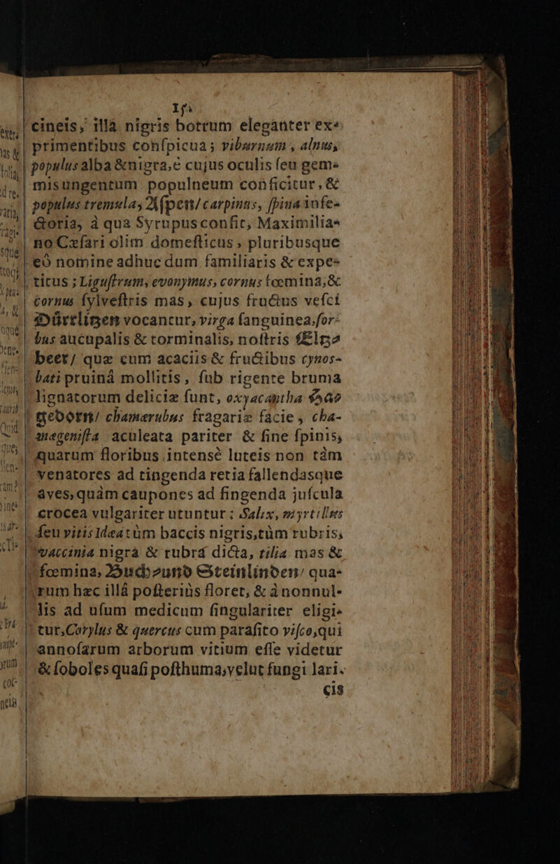 If j cineis, illà nigris botrum elegánter ex» primentibus confpicua; viburnum , alnus, populus alba &amp;nipra, e cujus oculis feu gem» misungentum populneum conficitur, &amp; no Czíari olim domefticus ; pluribusque eo nomine adhuc dum familiaris &amp; expee tirus ; Liguftrum, evonyimus, cornus toemina;&amp; £ornus fylveftris mas, cujus fructus vefci i»ürtliGen vocantur, virga fanguinea.for: jus aucupalis &amp; torminalis, noftris f&amp;ln2 beet/ quz cum acaciis&amp; fru&amp;ibus cynos- bati pruiná mollitis, fub rigente bruma lignatorum deliciz funt, oxyacaptba $582 megenita aculeata pariter &amp; fine fpinis, quarum floribus .intensé luteis non tám venatores ad tingenda retia fallendasque &amp;rocea vulgariter utuntur ; Salix, myrt ilis feu yitisIdeatüm baccis nigris,tàm rubris; v4tcinia nigra &amp; rubrd dicia, tilia mas &amp; fcemina, 22scb2unb eteinlinoen qua- annofarum arborum vitium effe videtur &amp;oboles quafi pofthuma;velut fungi lari. Cis x- Cors oe EROS, Mario * TEM z