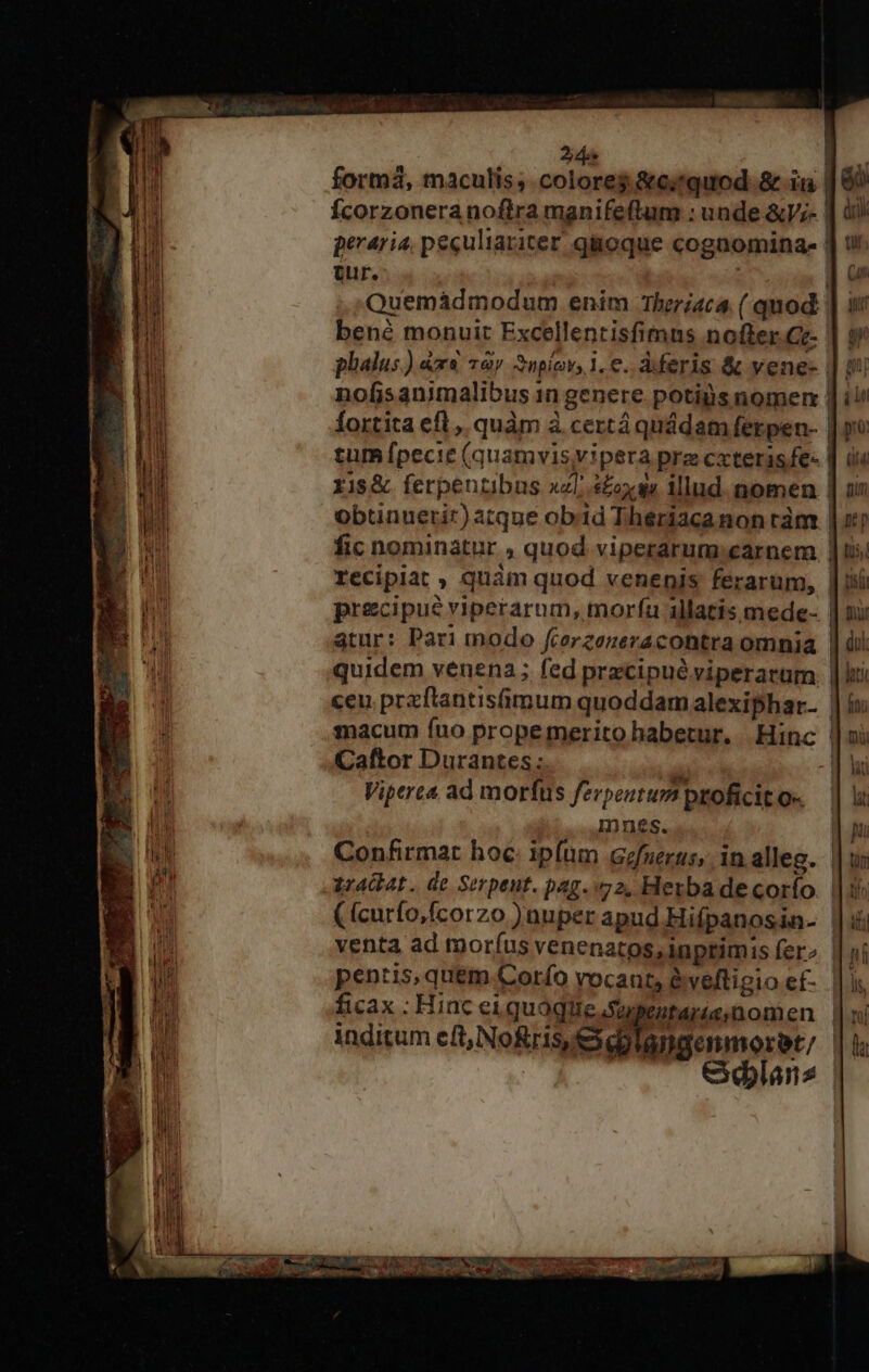 formá, maculis, coloreg &amp;e«quod-&amp; in | go Ícorzonera noftra manifeftum : unde &amp;V;- | peraria, peculiariter qiioque cognomina | 1! cur. | : | Qui Quemádmodum enim Theriaca. ( quod. bené monuit Excellentisfimus nofter.Ge- phalus.) &amp;x« 2ày 3npiov, 1.€. àderis &amp; vene- | nofisanimalibus 1n genere potins nomen | fortita efl ,. quàm à certá quádam ferpen- | tum fpecie (quamvisyvipera pre cxteris fe- | ris&amp; ferpentibus xzl.s£ox gs illud. nomen | obtinuerir)atque obid Theriacanon ràm | fic nominatur , quod viperarum:carnem | recipiat ; quàm quod venenis ferarum, precipue viperarnm, moríau illatis mede- atur: Pari modo fcerzeneracontra omnia quidem venena ; fed przcipué viperarum. ceu. przflantisfimum quoddamalexiphar. | macum fno propemeritohabetur, Hinc | Caftor Durantes: à; -| Viperea ad morfus fevpeutum proficit Q«. Innes. | Confirmar hoc: ipíum Gefnerts, in.alleg. | Lracbat. de Serpent. pag. 72, Herba de corío. ((curfo,fcorzo )uuper apud Hifpanosin- venta ad morfus venenatos, inprimis fer^ pentis, quem Corío vocant, à veftigio ef- | ficax ; Hinc e1quàagiic sup lütáris,nomen inditum eft, NoRris,edolangenmoret, | | eedlans | ves ur etr Uie