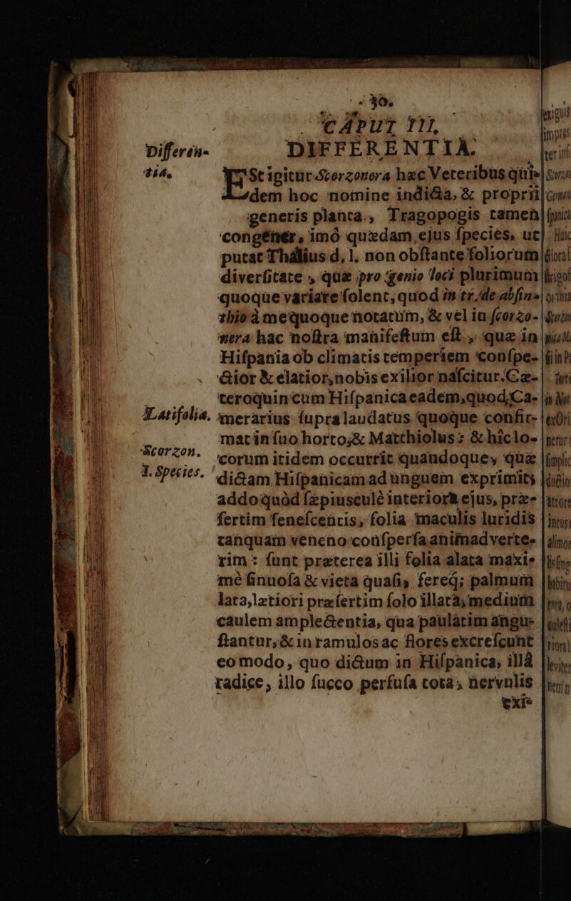 22 Me . CAPUT 111, DIFFERENTIA. Es igitur scerzonera hac Veteribus qüte| s Adem hoc nomine indi&amp;a. &amp; proprii|ci generis planta., Tragopogis tamen congéner, imó quxdam, ejus fpecies, ut]. lii putat Thálius d, 1. non obftante foliorutn [iri diverfitate , qua pro genio Tocs plurimum (doo! quoque variare folenc, quod in tz. de abfins | ori thioà mequoque notatum, &amp; vel in feorzo- &amp;vin mra hac noftra manifeftum efl... qua in yit Hifpania ob climatistemperiem xonfpe- (iin? &amp;ior &amp; elatior,nobisexilior nafcitur.G z- |. jy teroquin cum Hifpanicaeadem,quod;Ca- iN COT ZOM. A. Species. matin uo horto;&amp; Matthiolus:z &amp; hiclo- por corum itidem occurrit quandoquey qua nii di&amp;am Hifpanicam ad unguem exprimit; [igi addo quod fzpiusculé interior ejus, prz [mr fertim fenefcencis, folia tmaculis luridis [in tanquam veneno confperfa animad vertee |i; rim: funt praterea illi folia alata maxie |jiij; mé finno(a &amp; vieta qua(i,. fered; palmum |l» lata;lztiori pre(ertim folo illatà; medium |n ; caulem ample&amp;entia, qua paulatim angue |o fiantur,; &amp; in ramulosac flores excrefcunt |i eo modo, quo di&amp;um in Hifpanica; illà |). radice, illo fucco perfufa cota; nervnli$ [jr exi