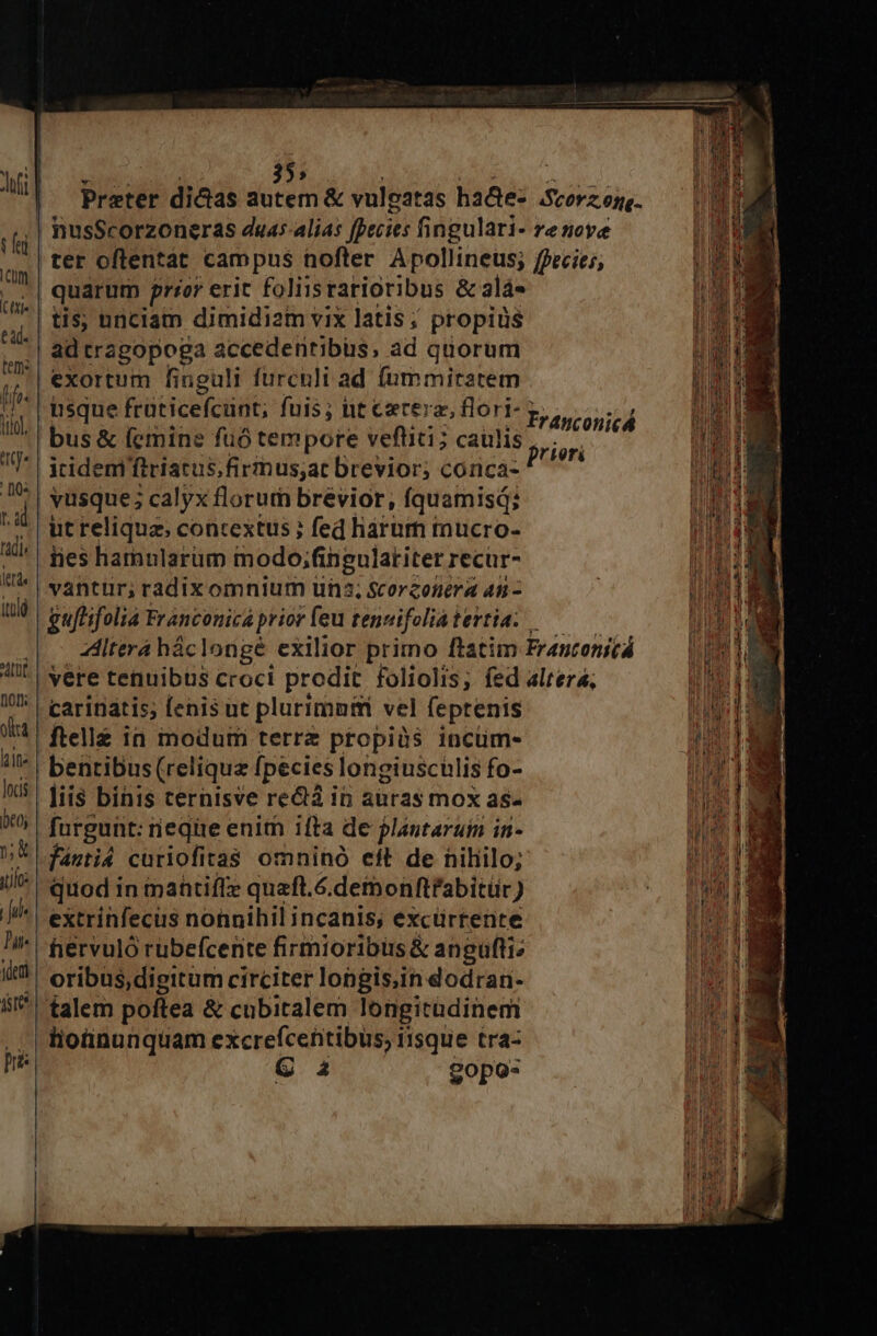 t fed icm Ltti« ead. tem: i lito, ttj ' [ios tud fadi, ltd itülg (101 ine Jocis be 0j n; € julo: [uh Dit yderi dcs pris ter oflentat campus nofter Apollineus; ffecies, quarum prior erit foliistarioribus &amp; alá- tis; unciam dimidiam vix latis; propiüs ad tragopoga accedentibus, ad quorum exortum finguli furculi ad fummiratem isque früticefcünt; fuis; ntczrcerz, flori- bus &amp; femine fuó tempore veftiti; caulis itidemni fitiatus.fi rmus;at brevior; cornca- vusque; ; calyx florum brévior, fquamisd; ut relique; contextus ; fed hàrum mucro- ties hamularum modo;fingulatiter recür- vantür; radix omnium una, Scorzonera 4n- guftifoliá Franconicá prior feu tenuifolia tevtia... Zlterá háclonge exilior primo ftatim Fr antonitá yere tenuibus croci prodit foliolis; fed altera, Franconicá frieri ftelie in modum terrz propiàüs incüm- bentibus (reliqua fpecies longiuschlis fo- liis binis cernisve red in auras mox as- fásti4 curiofitas omninó eft de nihilo; quod in mantiffe quaft.6.demonftfabitür) fhiervuló rüubefcente firmioribüs&amp; angufti: oribus, digitum circiter longis;in dodran-