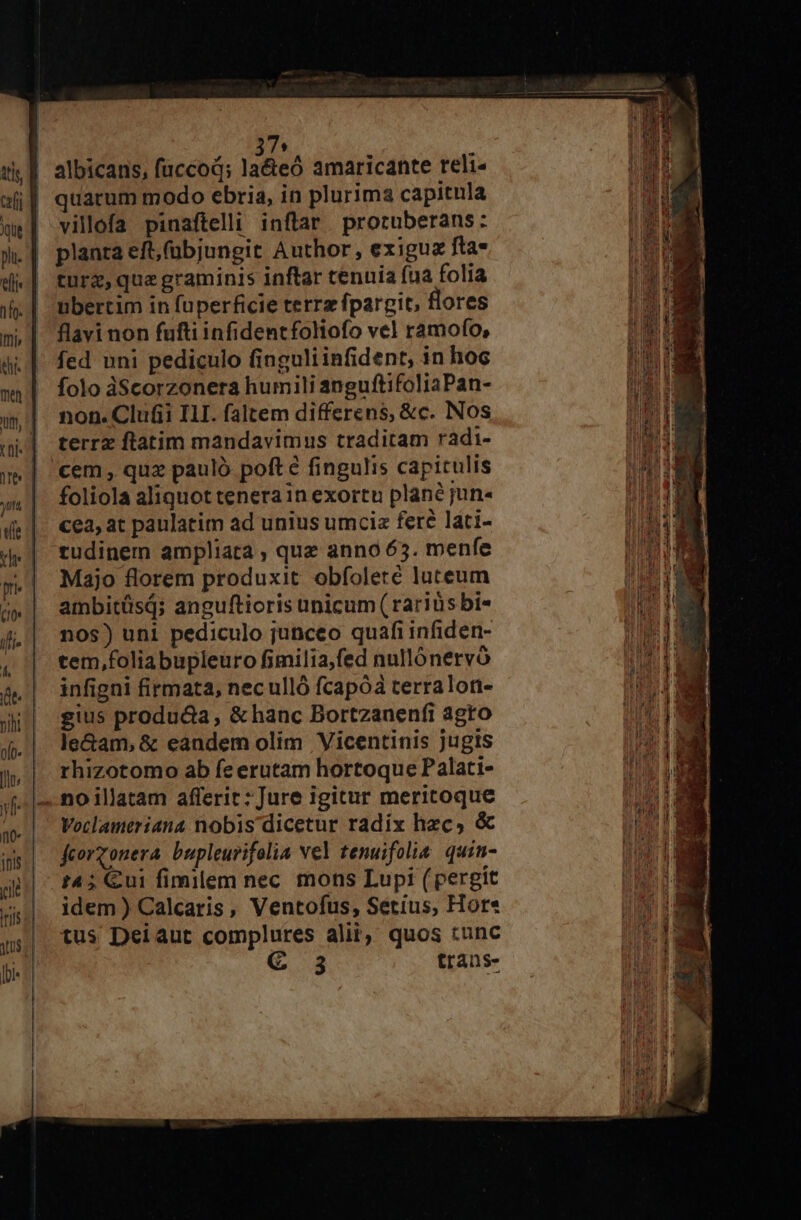 75 | albicans, faccod; lade amaricante reli« quarum modo ebria, in plurima capitnla qe | villofa pinaftelli inflar proruberans: W. | planta eft,(ubjungit Author, exiguz fta- | tur, que graminis inftar tenuia fua folia 5. | -mbertim in fuperficie terrz fpargit, flores m, |. flavi non fufti infidentfoliofo vel ramofo, 4. |. fed uni pediculo finguliinfident, in hoc «| folodScorzonera humili anguftifoliaPan- i|. non. Clu&amp;i ILI. faltem differens, &amp;c. Nos | terrzftatim mandavimus traditam radi- 3*4 Lad IÉÍ— — zl | cem, quz pauló poft e fingulis capitulis ig | foliola aliquot tenerain exortu plané jun. 1002 0 di]. €ea, at paulatim ad unius umcia fere láti- M 4| tudinem ampliata, quz anno 65. menfe .| Majo florem produxit obfoleté luteum pri * A z . * T : i ) b í»| ambitüsq; anguftioris unicum(rariüs bi« d 4.'| nos) uni pediculo junceo quafi infiden- E , | tem,foliabupleuro fimilia,fed nullónervó 7 &amp;.| infigni firmata, neculló fcapóà terraloti- 1j gius produ&amp;a, &amp;hanc Bortzanenfi agro HOME j| le&amp;am,&amp; eandem olim Vicentinis Jugis MM », | rhizotomo ab feerutam hortoque Palati- if: |- no illatam afferit: Jure igitur meritoque | | Veclameriana nobis dicetur radix hzc, &amp; Dd TX [— d f10- ji fcorzonera bupleurifolia vel tenuifolis quin- TUE Gui fimilem nec mons Lupi (pergit T j|. idem) Calcaris, Ventofus, Setius, Hors um gs|, tus Dei aut complures alii, quos tunc umi [pi € 3 trans- 1) NN