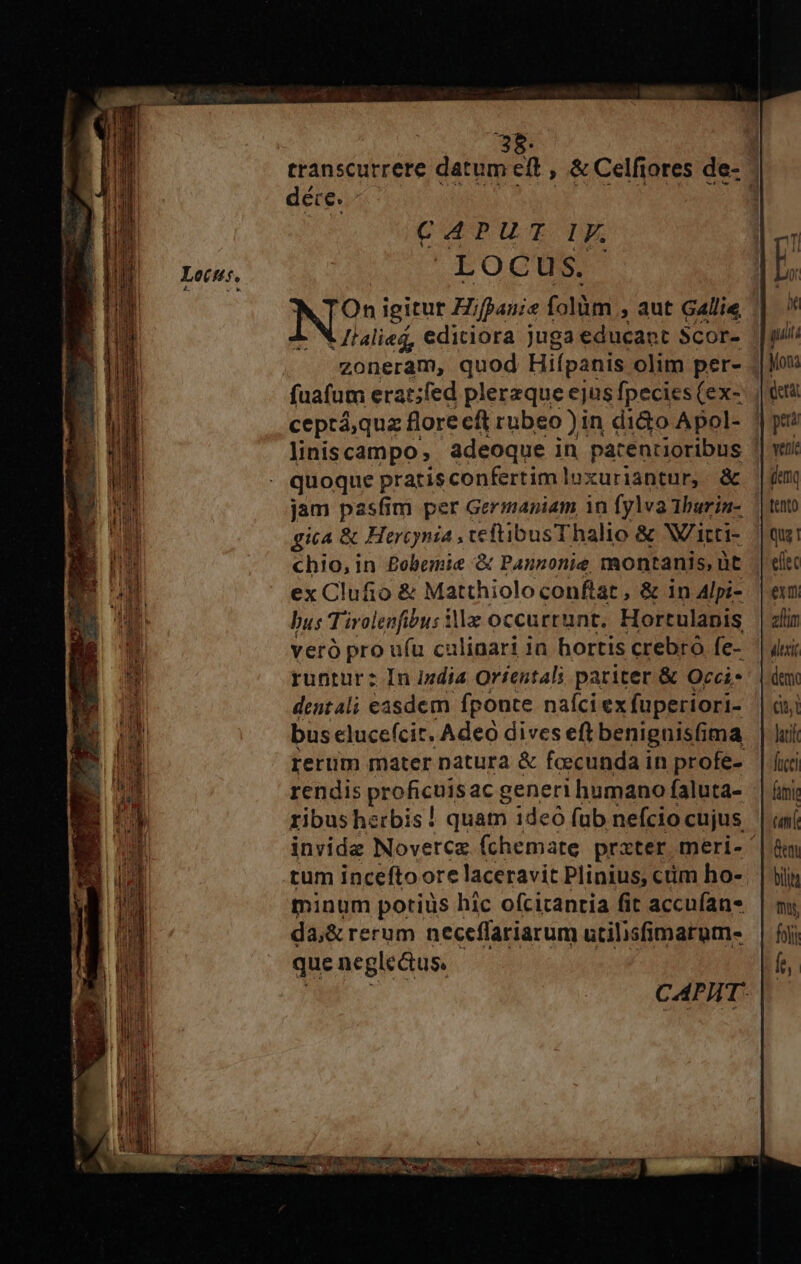 38. déte. CAPUT IE. LOocu S. NUS igitur Hifpauie foliüm ; aut Gallie | //alieg, ediciora juga educapt $cor- zoneram, quod Hifpanis olim per- ceprá,quz florecft rubeo ) in dido Apol- quoque pratisconfertimluxuriantur, &amp; jam pasfim per Germaniam in fylva Ibarin- gica &amp; Hercynia . veftibusThalio &amp; Wicti- chio, in £obemie &amp; Pannonie montanis, üt ex Clufio &amp; Matthiolo conftat , &amp; in Alpi- bus Tirolenfibus ila occurrunt. Hortulapis veró pro uíu culinari in hortis crebró fe- runtur: In izdia Orientali pariter &amp; Occi dentali easdem fponte naíci ex fupertori- bus eluce(cit. Adeó dives eft beniguisfima iren mater natura &amp; foecunda in profe- rendis proficuis ac generi humano faluta- ribus herbis ! quam ideó fub nefcio cujus tum inceftoore laceravit Plinius, ctim ho- minum potius hic ofcitanria fit accuían- da&amp; rerum neceffariarum utilisfimarum- que negle&amp;us. dem i acil fucci fimi um dem bii tn foli f